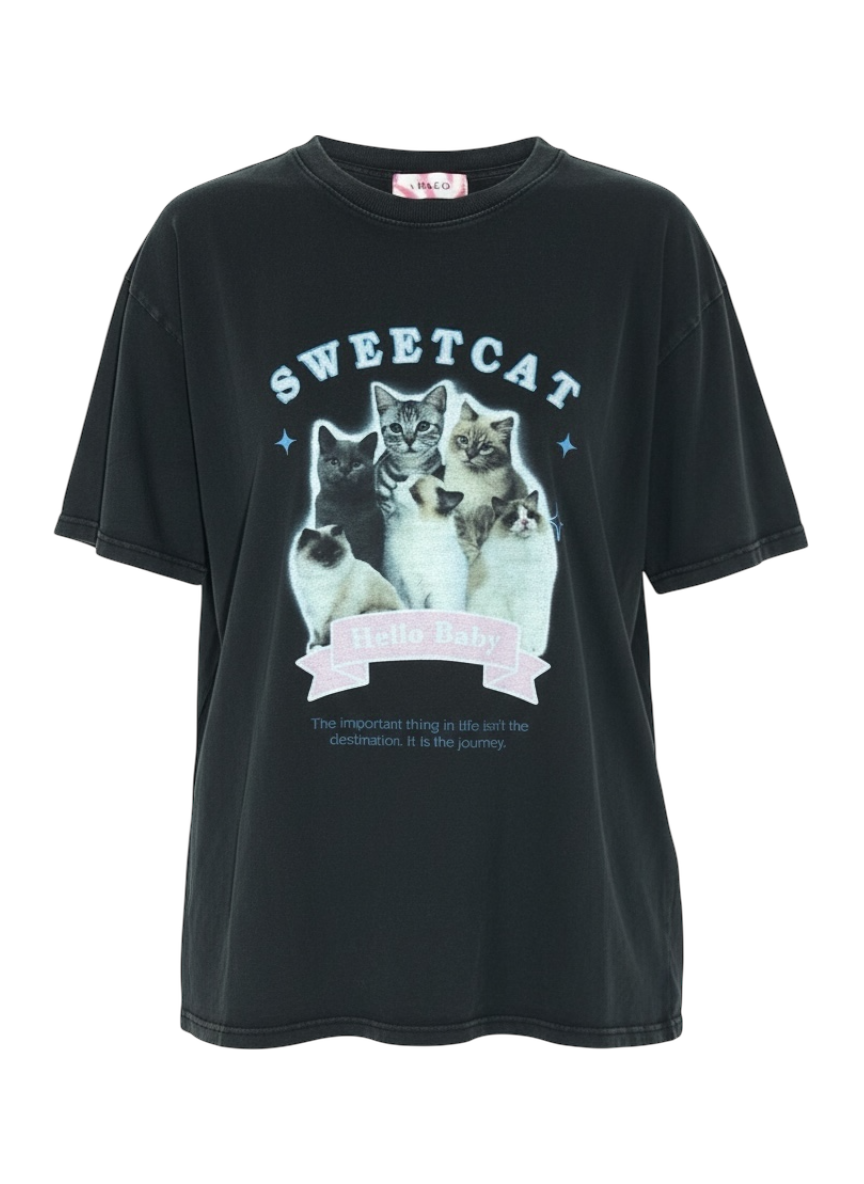 vii & co sweet cat grey acid wash tee