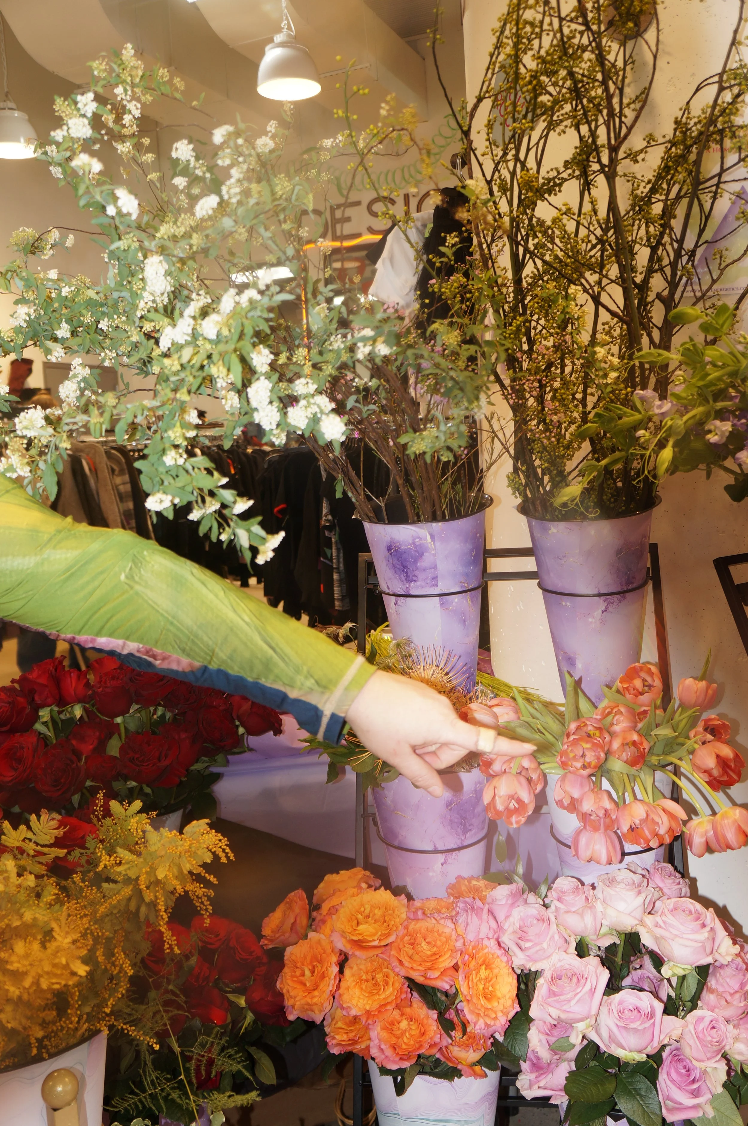 DSC08879.JPG