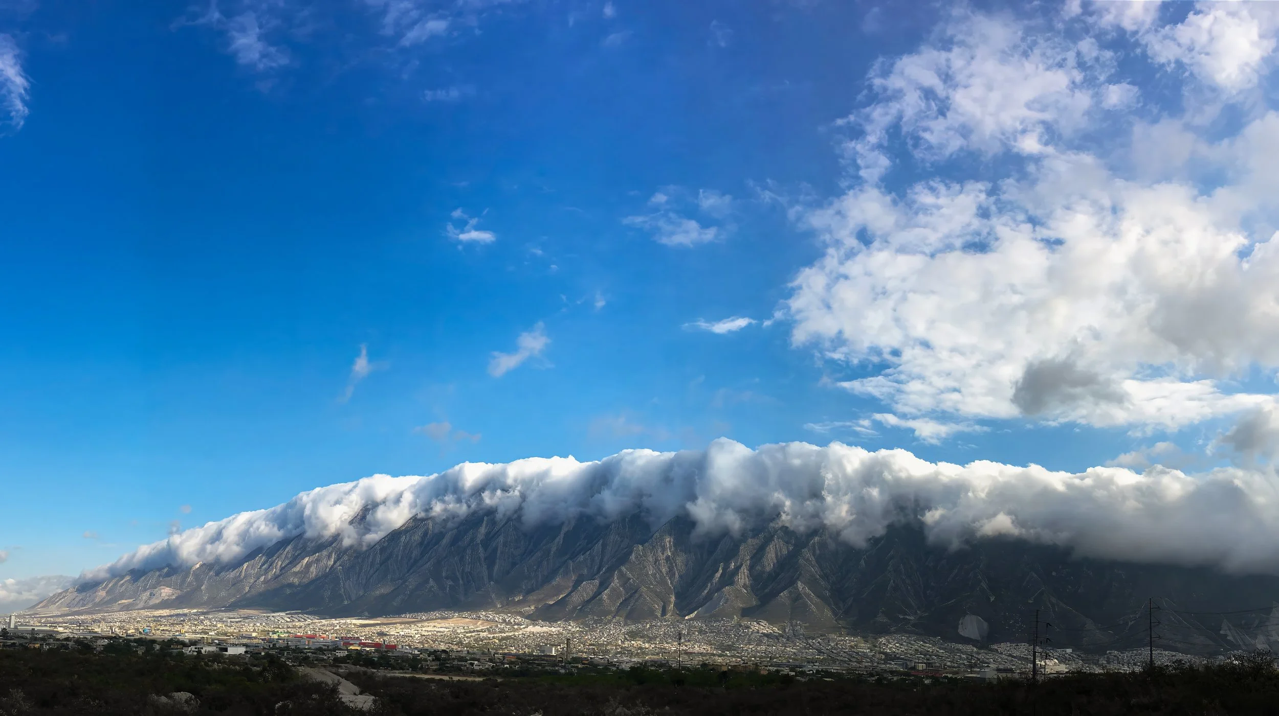 2016-03-19 11.29.14-1-topaz-denoise-sharpen-upscale-1x 2.jpg