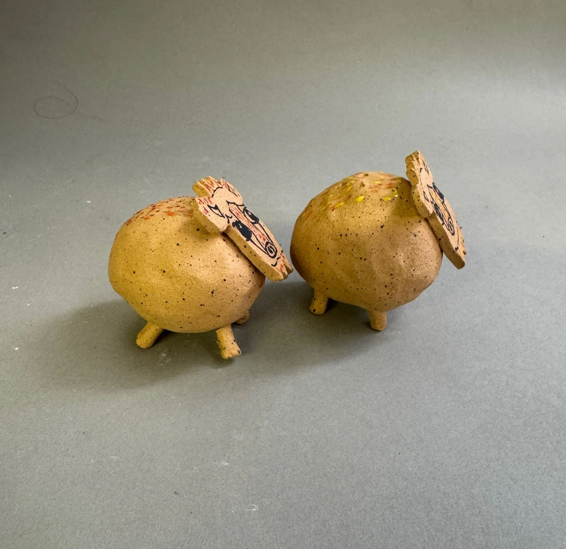Salt & P Javalina 3.JPG