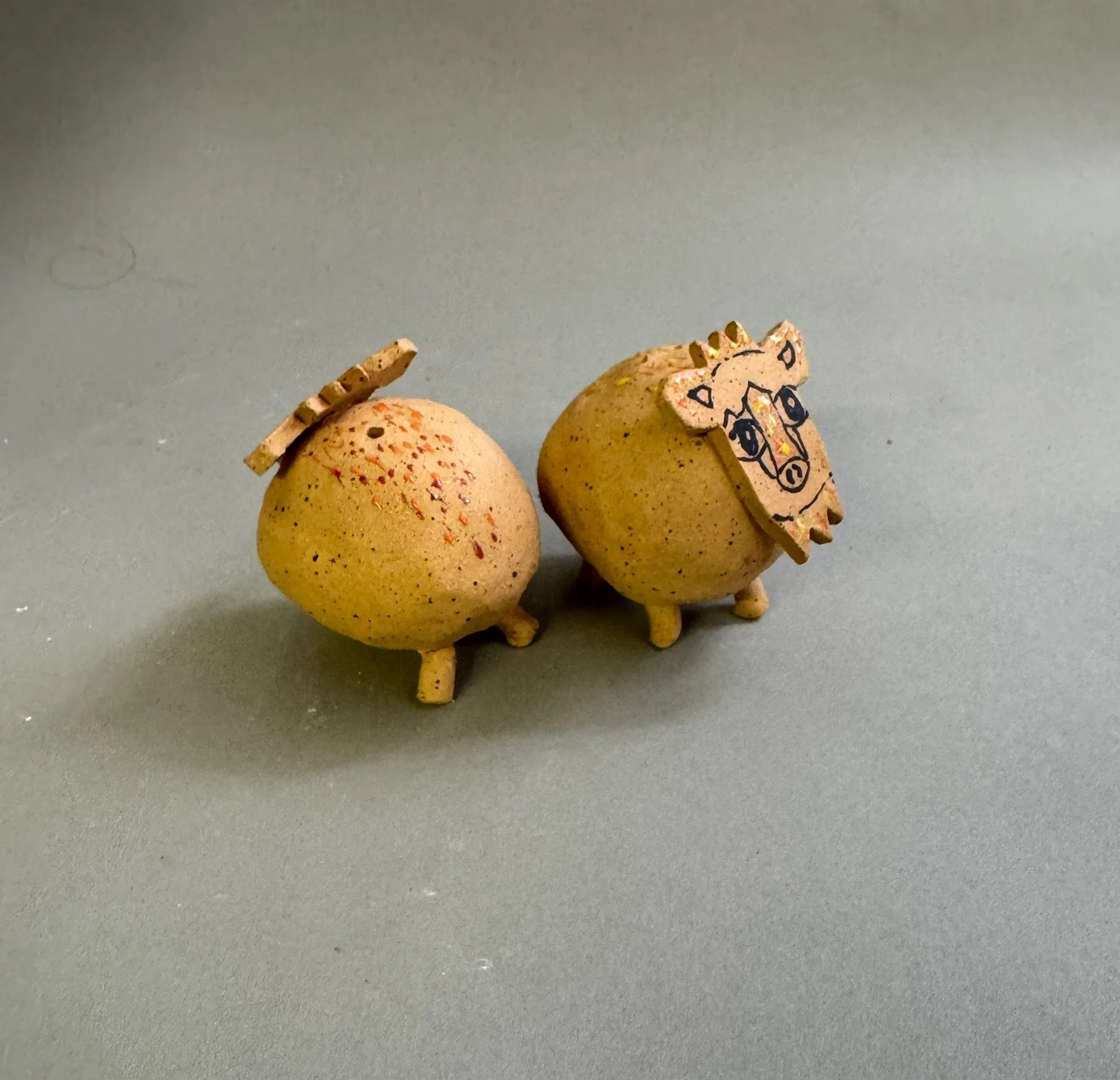 Salt & P Javalina 2.JPG