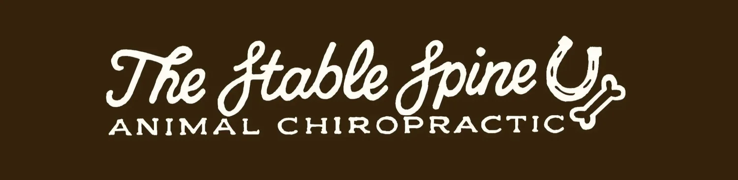 The Stable Spine