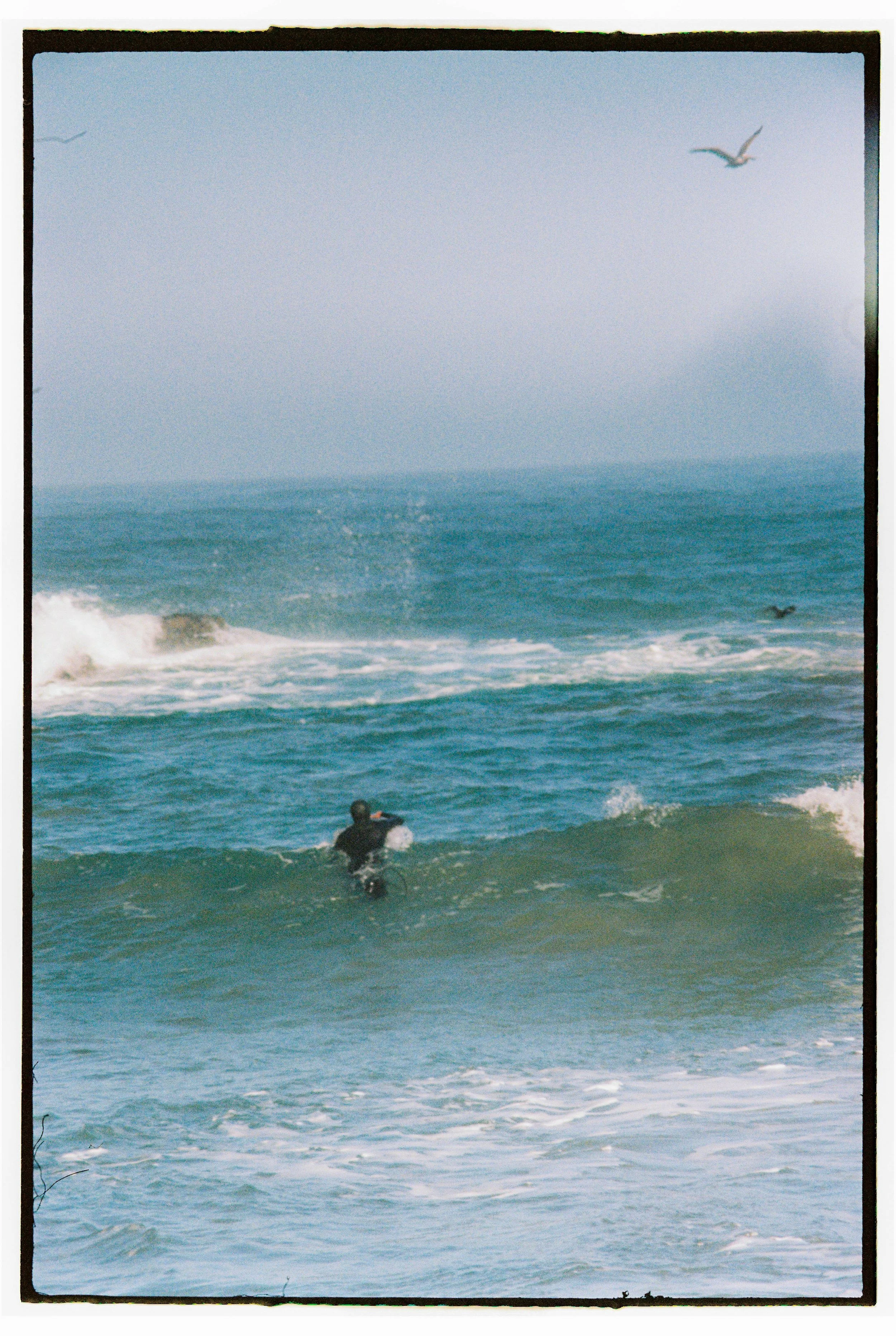 A person in the ocean with waves, flying seagulls overhead, near the shore.