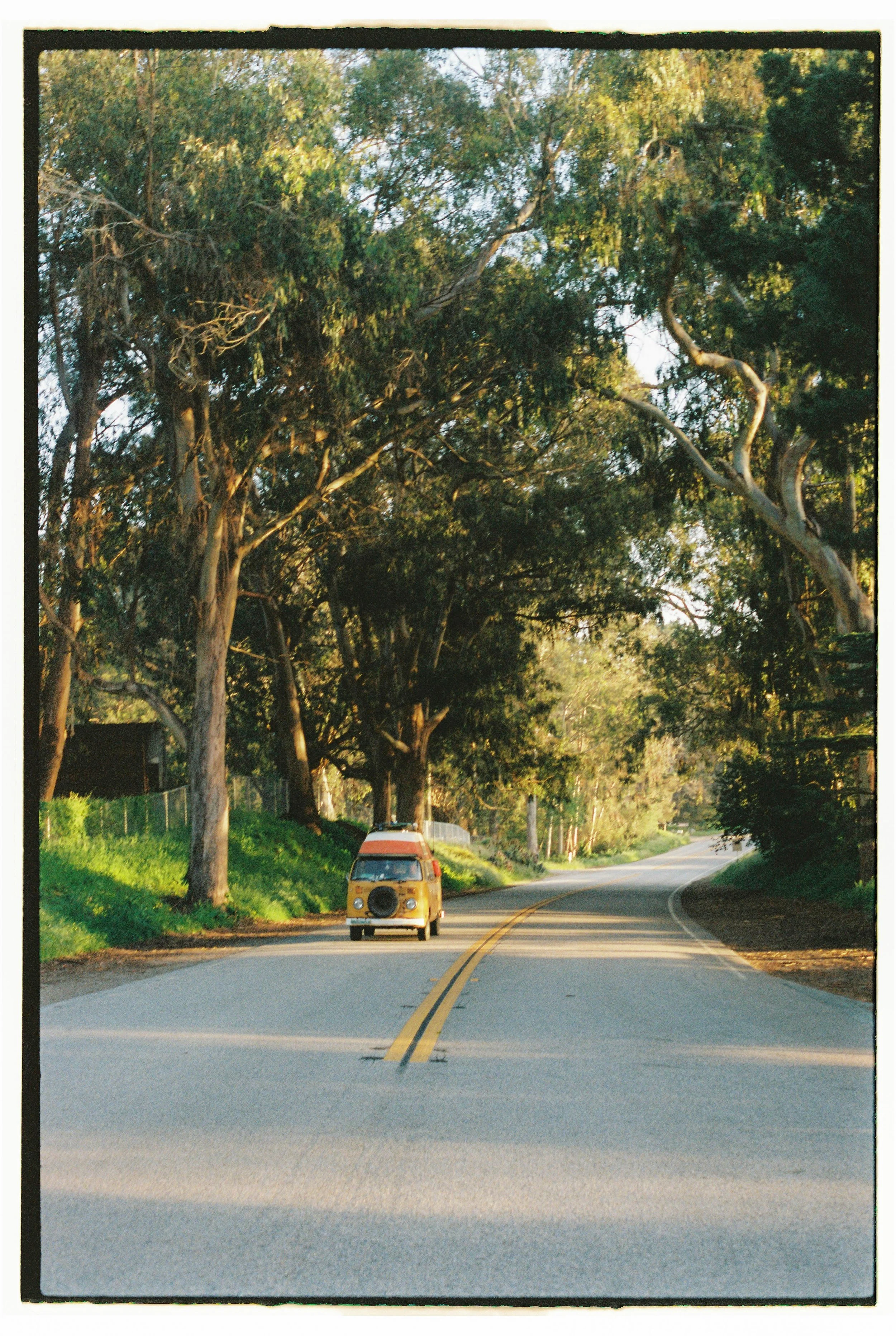 A winding rural road flanked by tall trees with green foliage, and a vintage yellow van with a spare tire on the front traveling along the road.