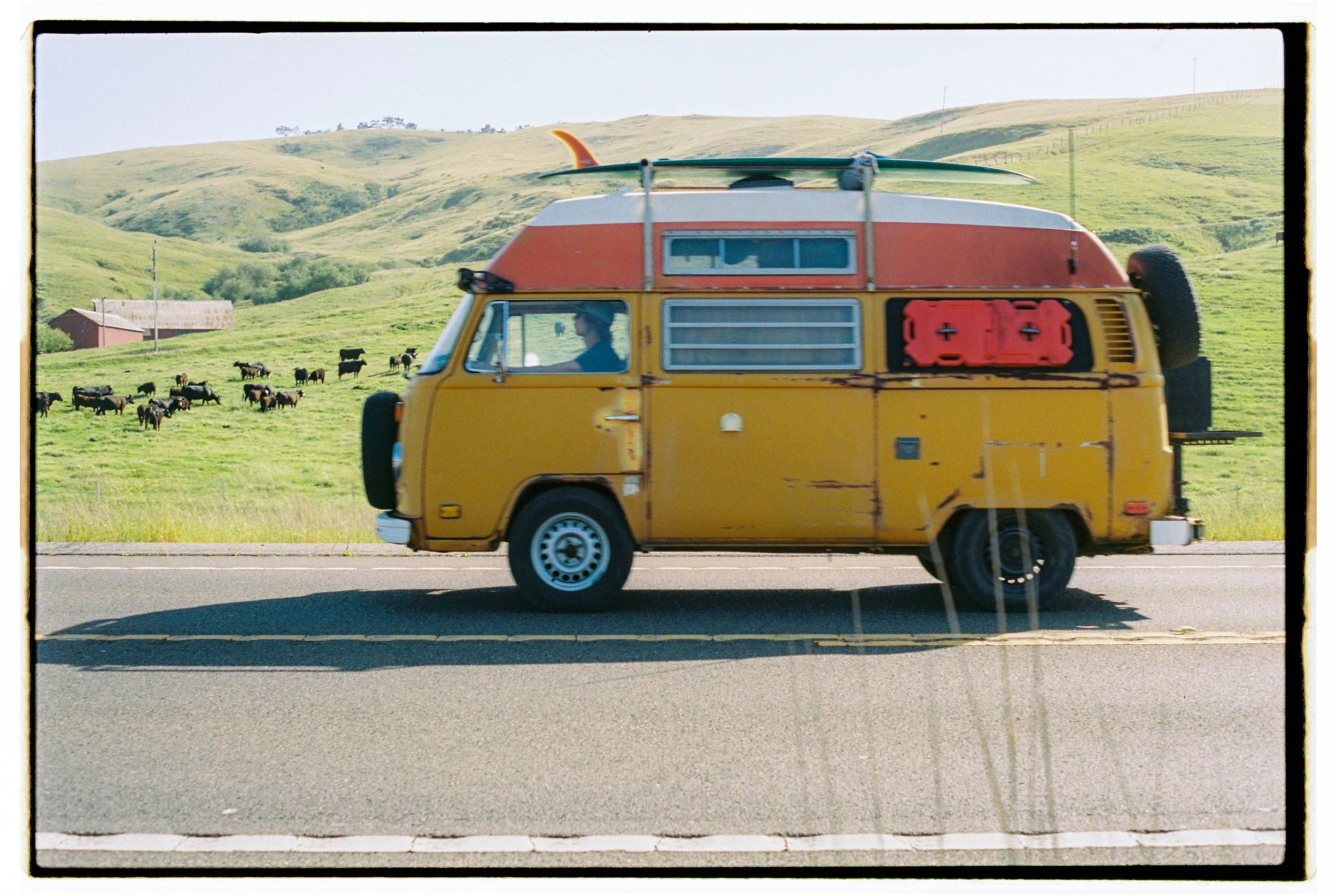 A vintage yellow camper van with a red roof and a surfboard on top, driving along a rural road with green hills and cows grazing in the background.