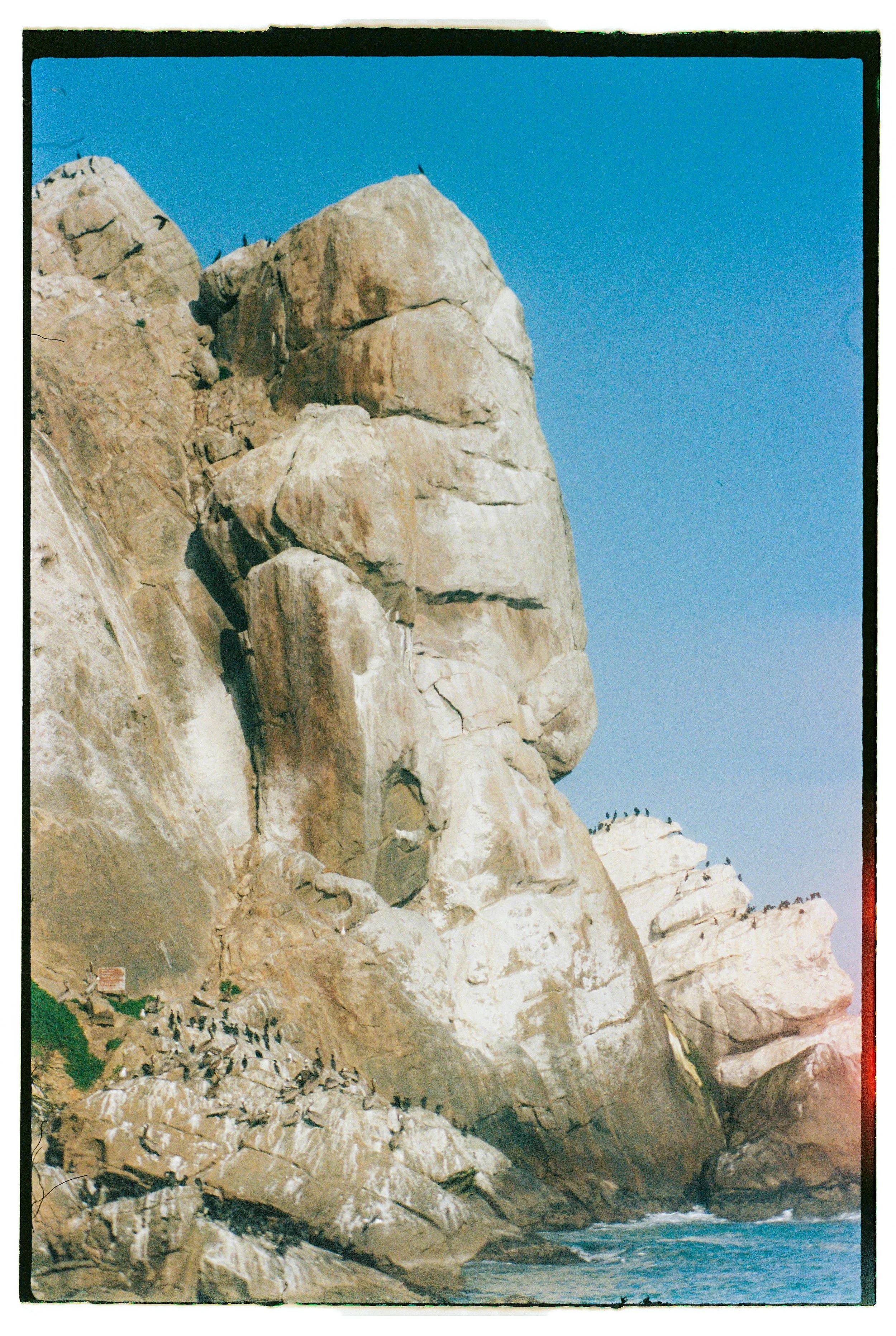 Large rock formations on the coastline with many seabirds perched on the rocks and the tops of the cliffs, under a clear blue sky.