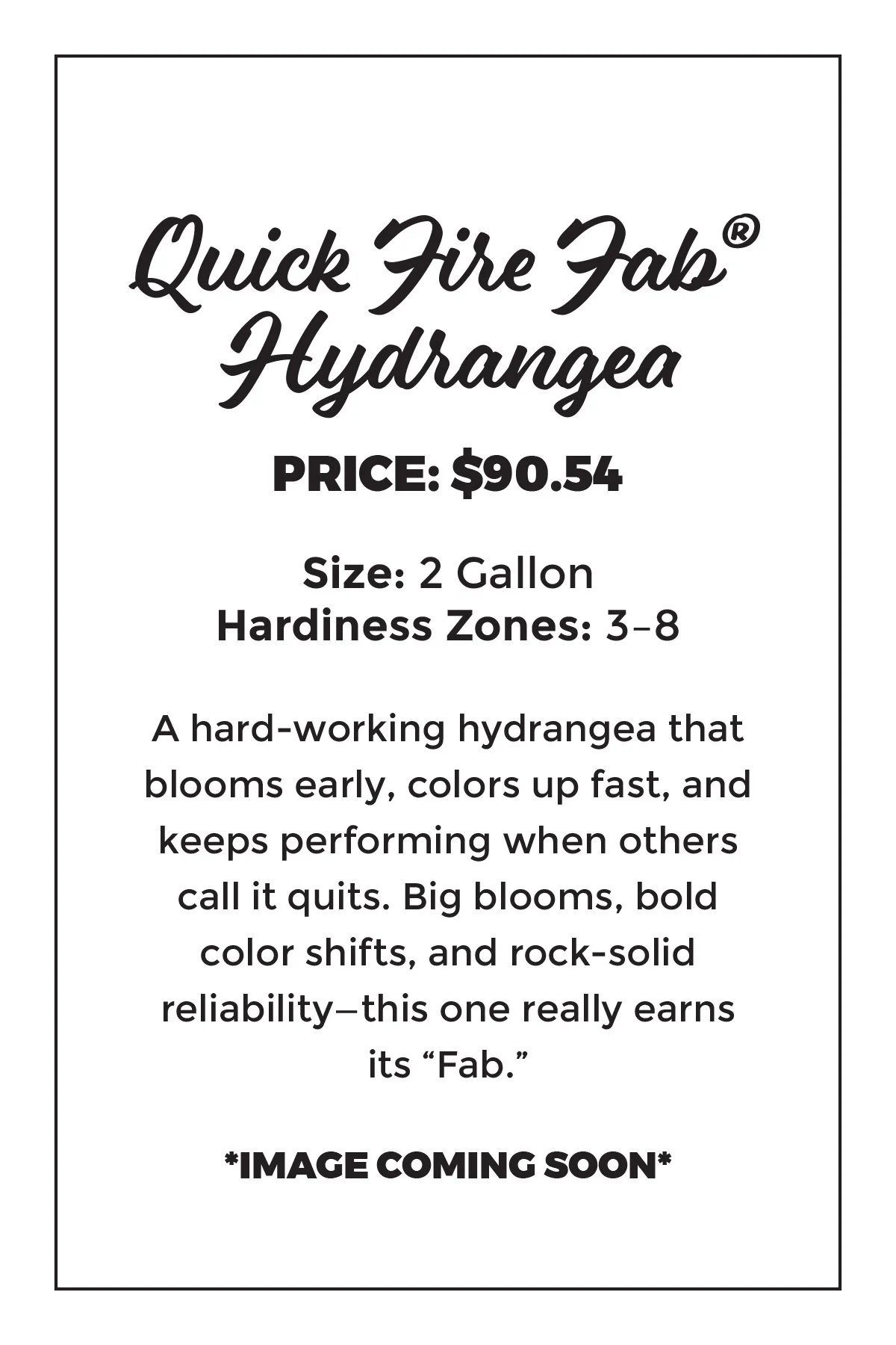 Quick Fire Fab® Hydrangea