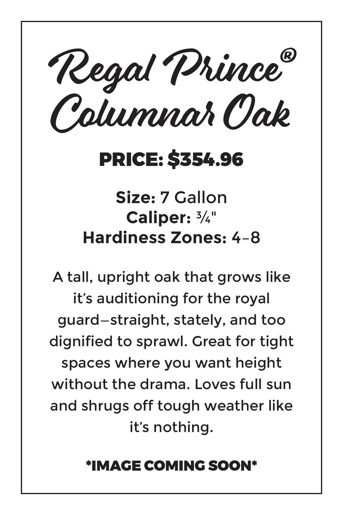 Regal Prince® Columnar Oak