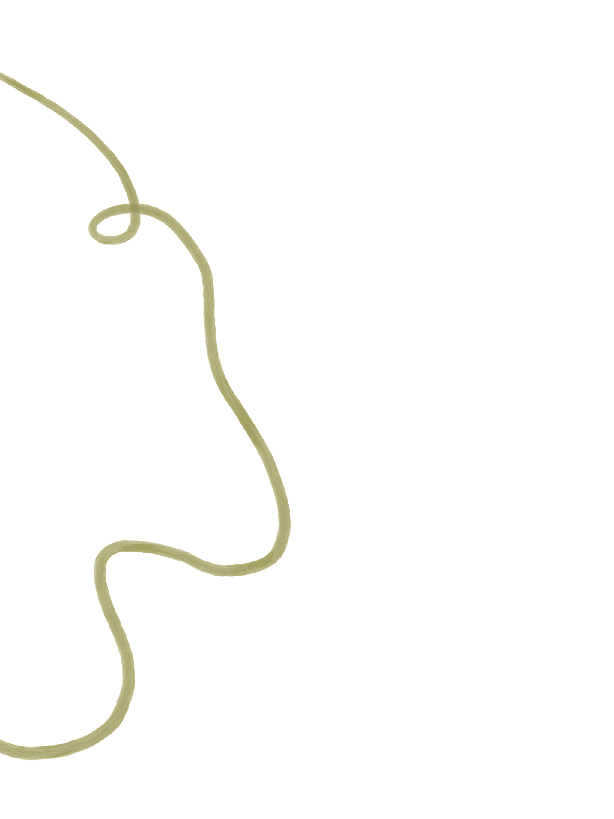 Close-up of a light yellow plant tendril curling in the foreground with a blurred purple and green background.
