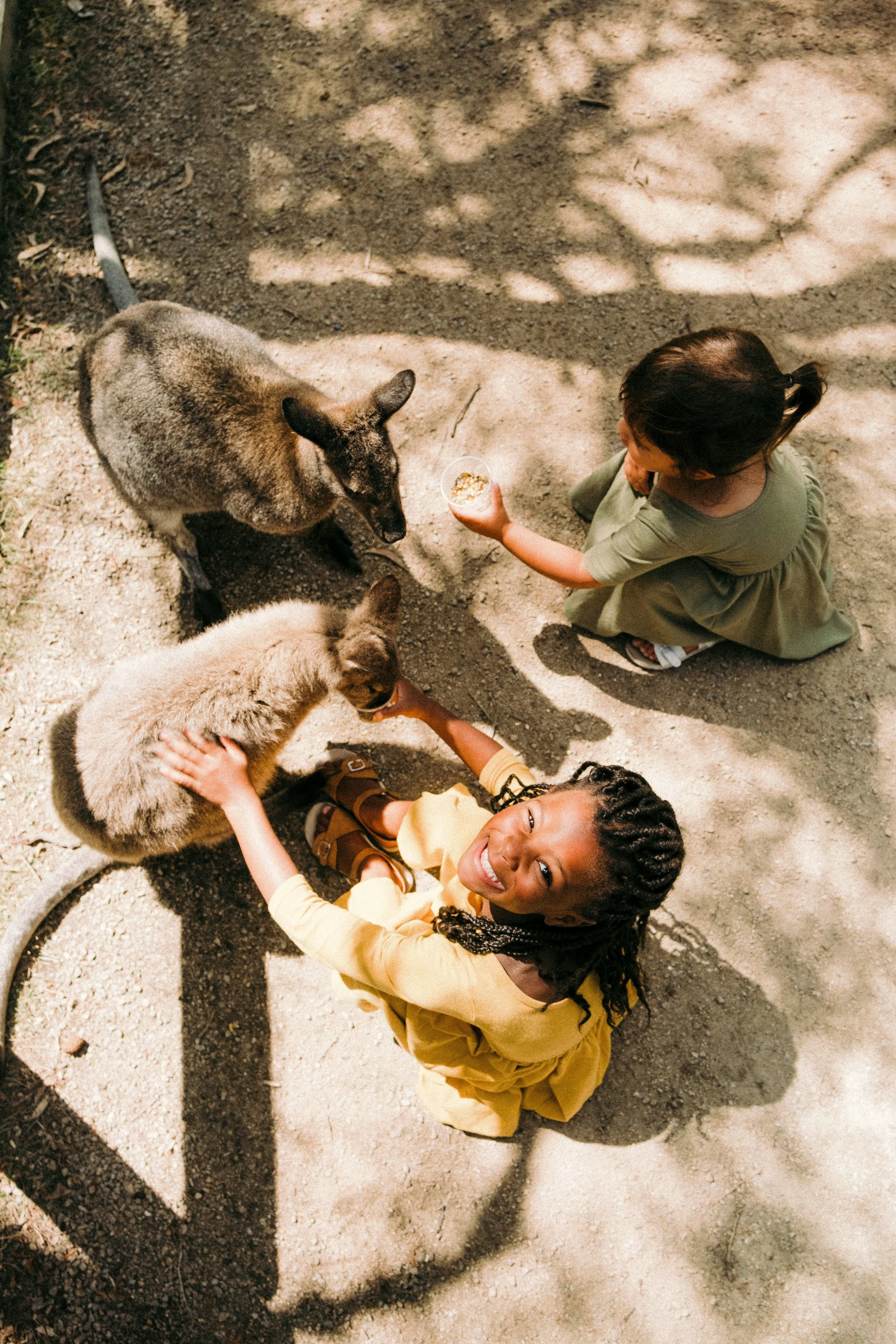 Two children, one girl with braided hair in a yellow dress and another girl with short curly hair in a green dress, are feeding small goats outdoors on a sunny day. They are sitting on the ground, and the goats are eating from their hands. Shadows of trees are cast on the ground.