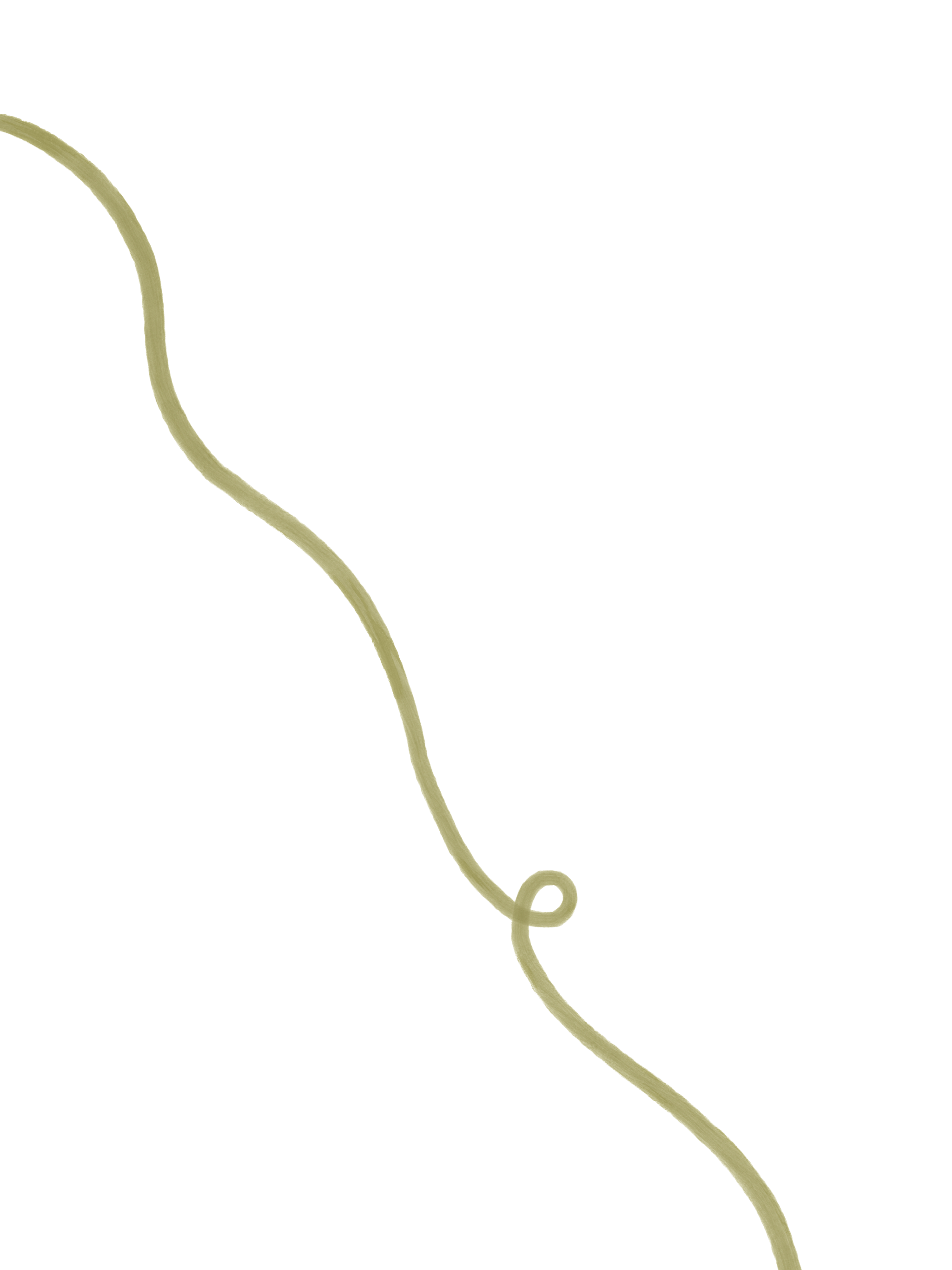 Close-up of a green sprout with a curling tendril against a blurred background.