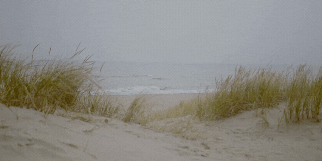 dunes.gif