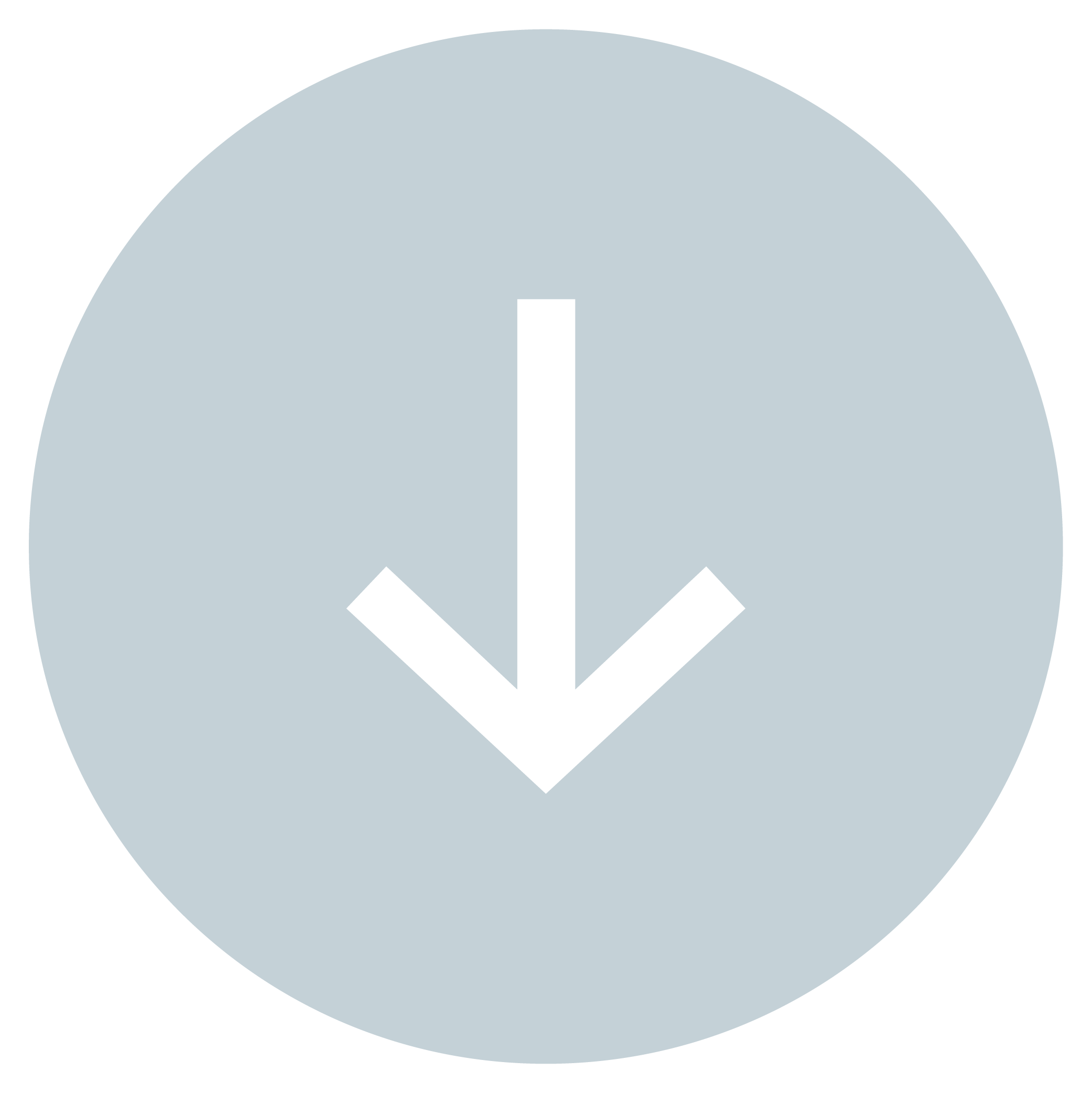 A metallic emblem with a pacifier design, featuring a rounded outer shape, central vertical and horizontal lines, and a pacifier icon at the center.