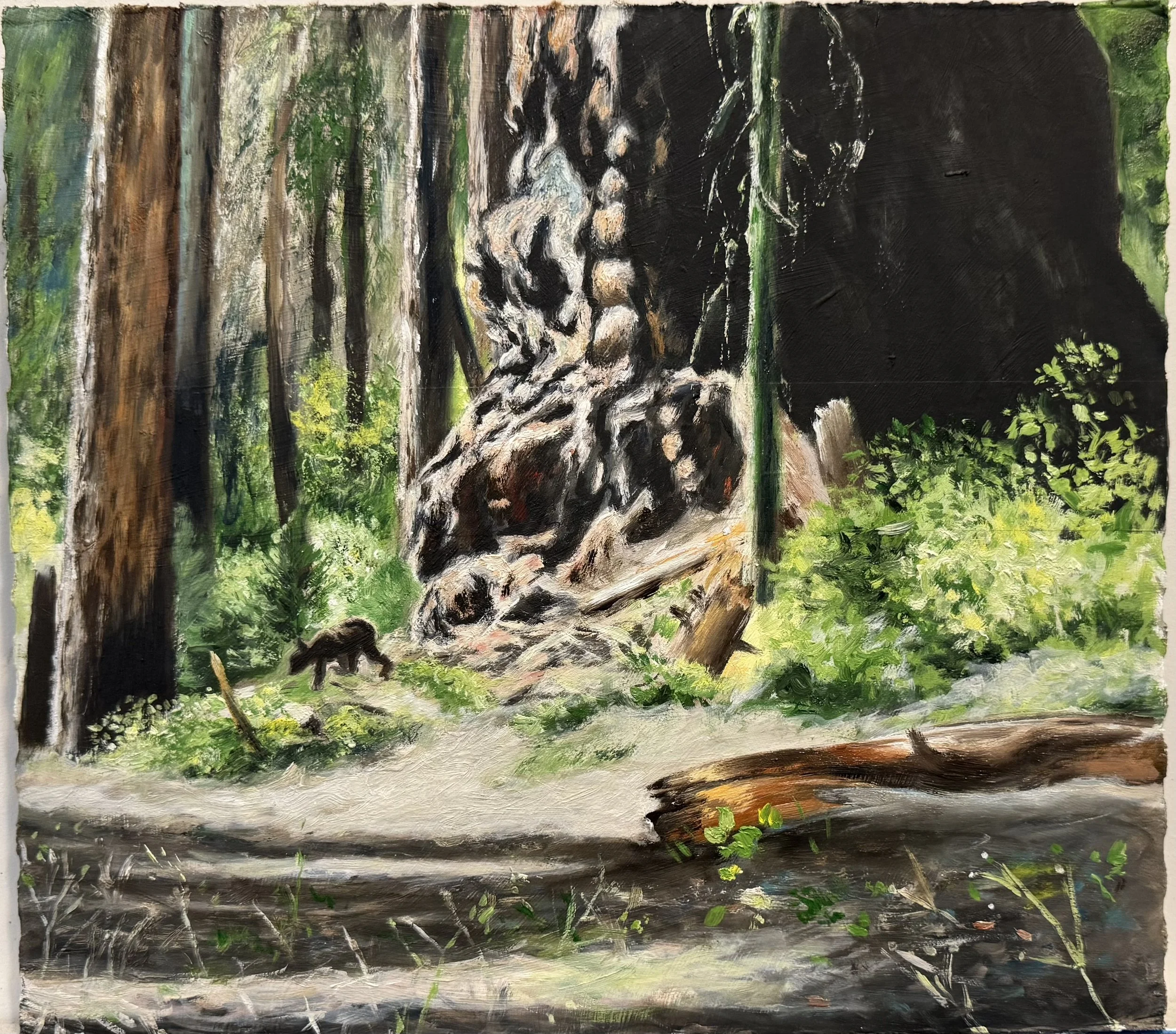 How to Paint Trees (study #1), 2025. Oil on prepared cardboard, 12 x 13 inches