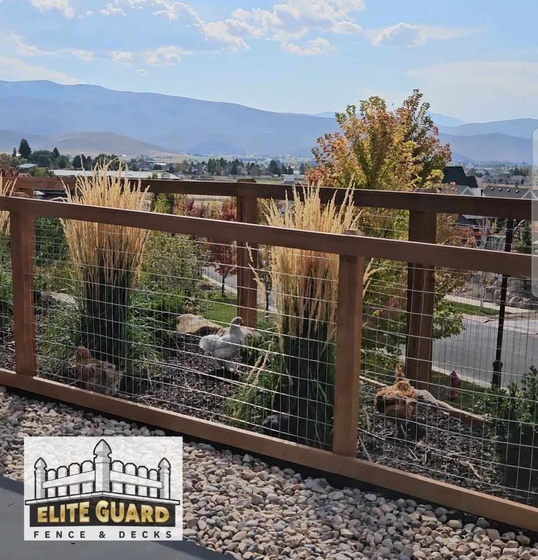 Screenshot_20241113_214641_Gallery - Copy-watermarked.jpg