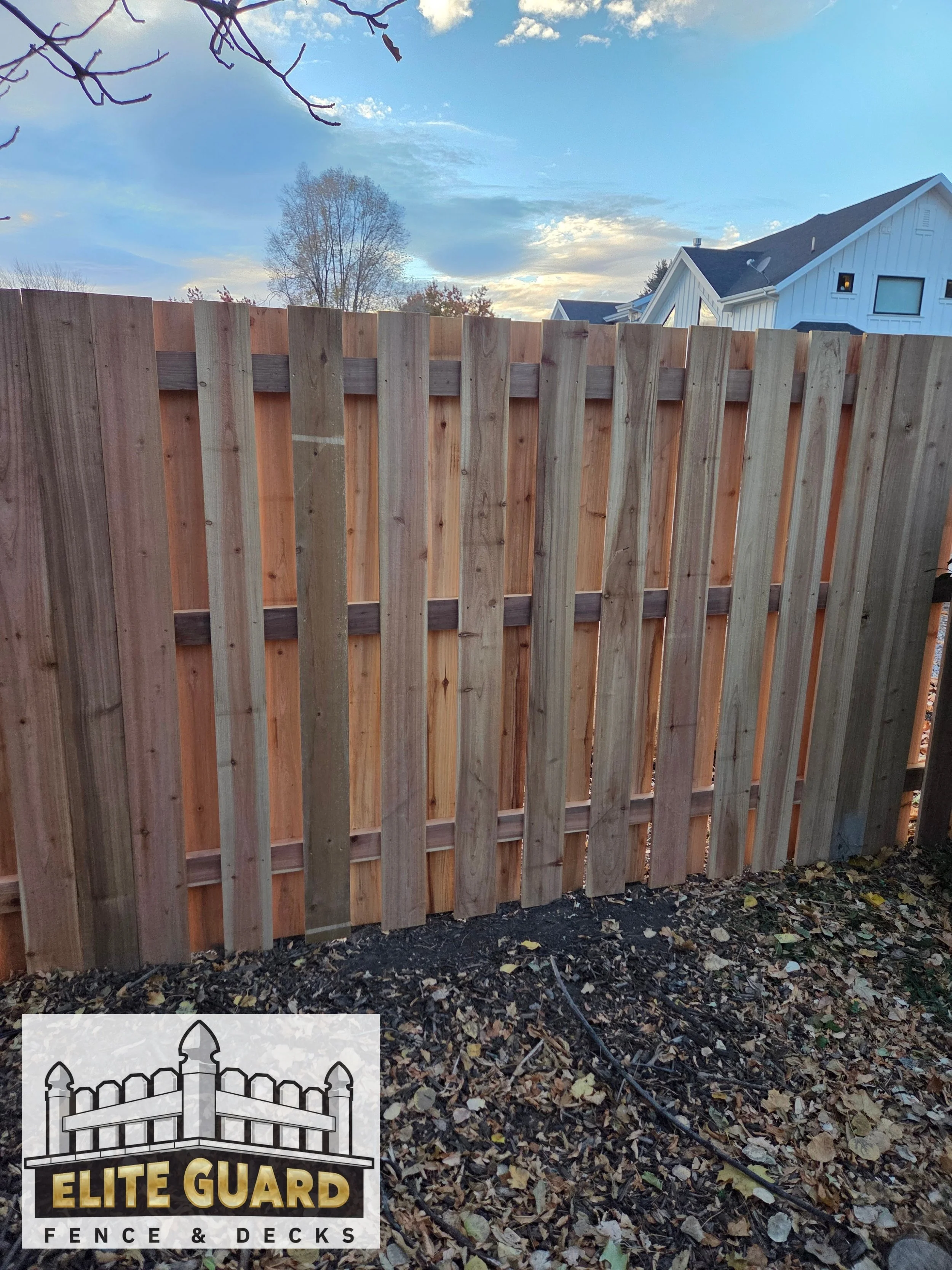 20251112_165528 - Copy - Copy-watermarked.jpg