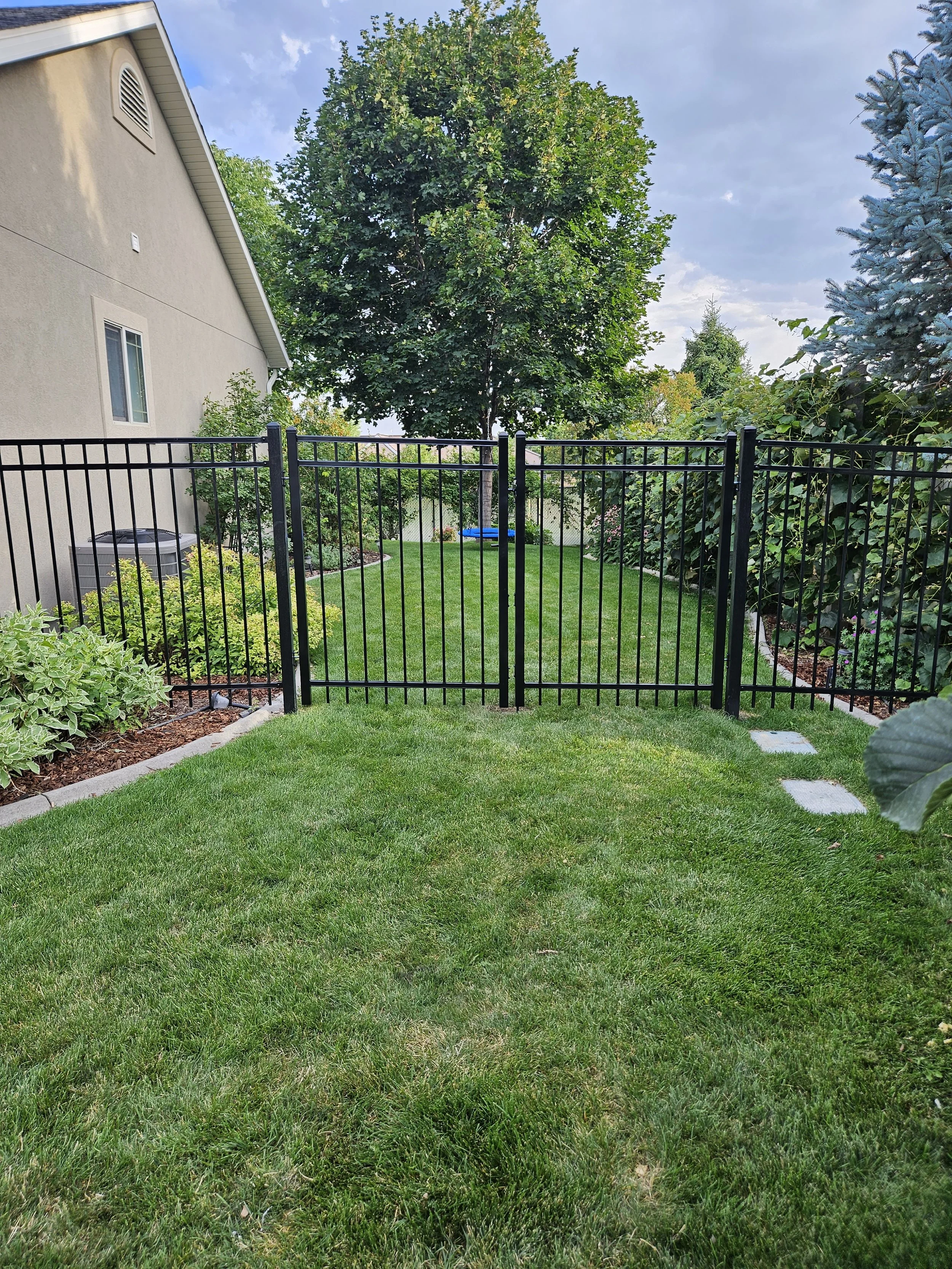 A backyard with a green lawn, a black metal fence and gate, garden plants along the left and right sides, a large tree in the background, and a blue kiddie pool in the distance in Payson, UT.