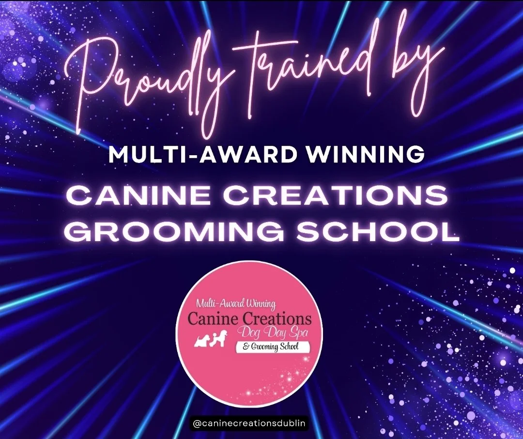 Promotional graphic for Canine Creations Grooming School with glowing purple text on a dark blue background with light streaks and sparkles, featuring a pink circular logo for Canine Creations Dog Day Spa & Grooming School.