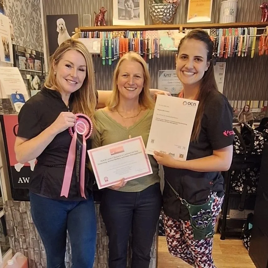 Three women smiling and holding Level 3 Diploma in Dog Grooming certificate in a pet store with colorful dog leashes hanging on display and a framed photo of a dog on the wall behind them.