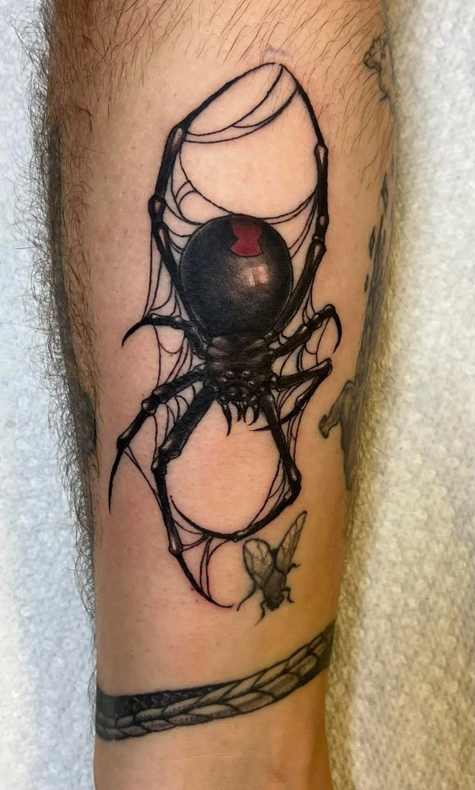 Tattoo of a black widow spider with a red hourglass on its abdomen, sitting on a web with a small fly below.