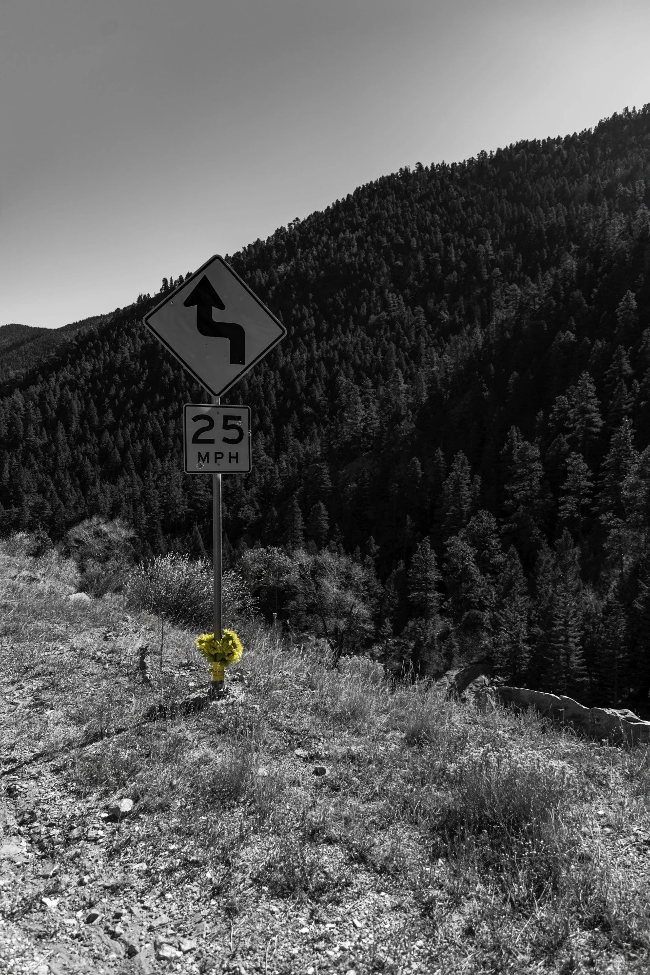 Black and white image of a winding road sign and a speed limit of 25 miles per hour, with a small yellow flower at the base of the sign, set against a mountainous forest landscape.