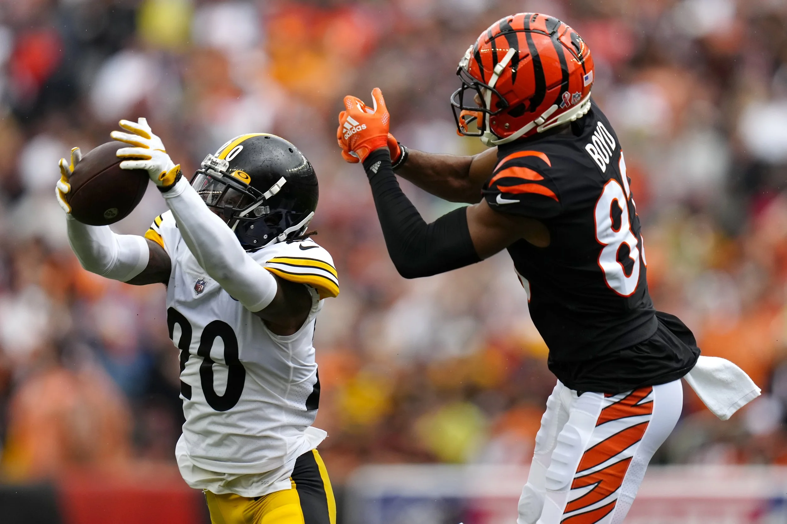 091122BengalsSteelers_42.jpg