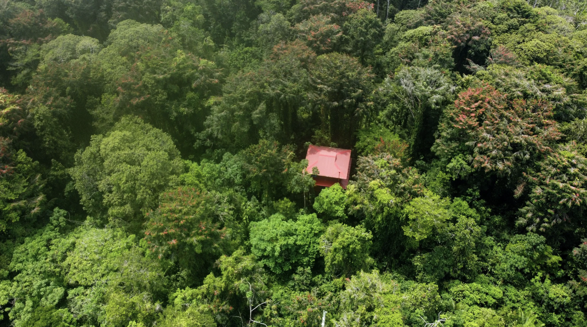 Screenshot 2026-01-25 at 10.15.14 AM.png