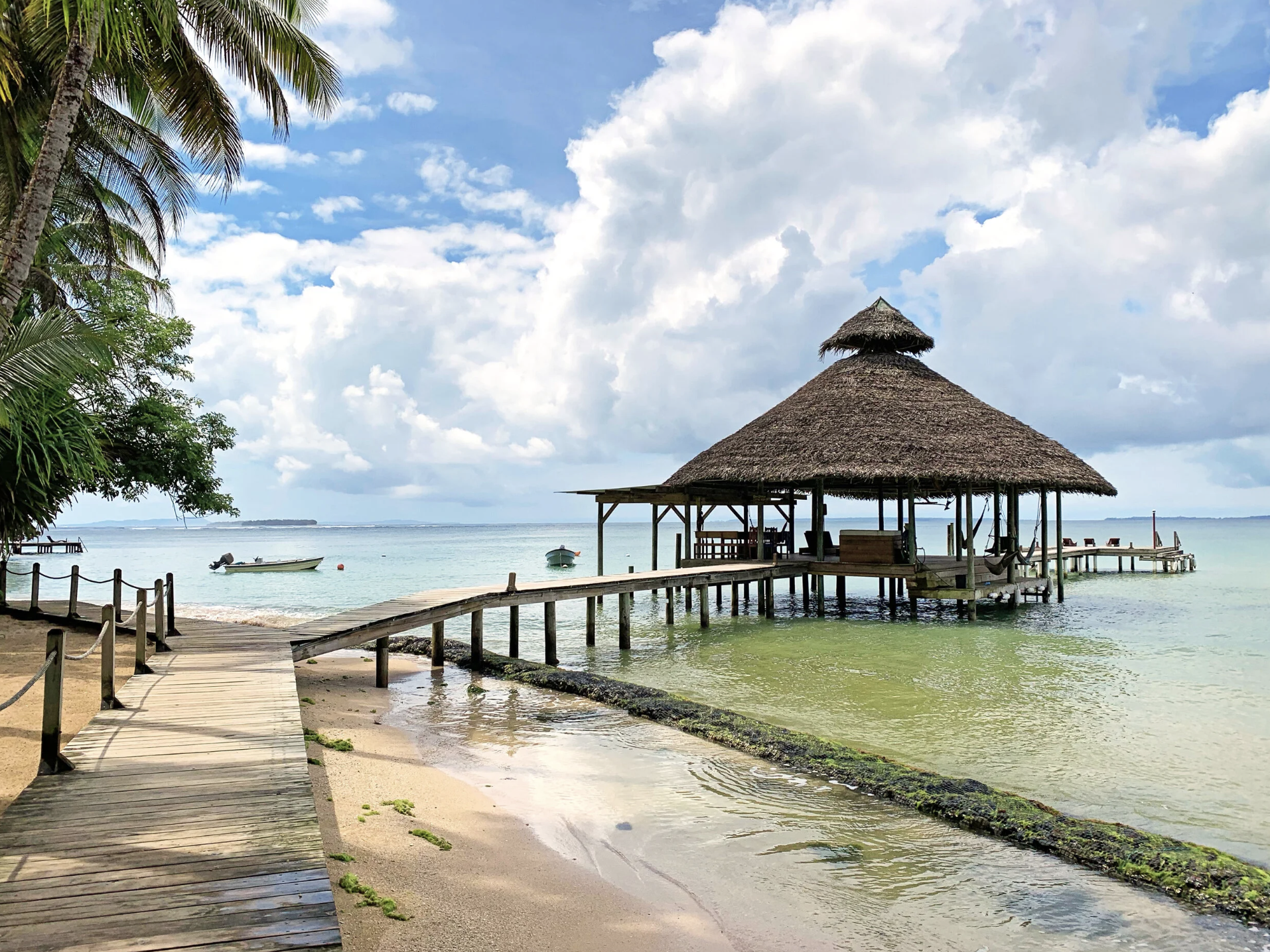 Screenshot 2026-01-25 at 10.08.27 AM.png