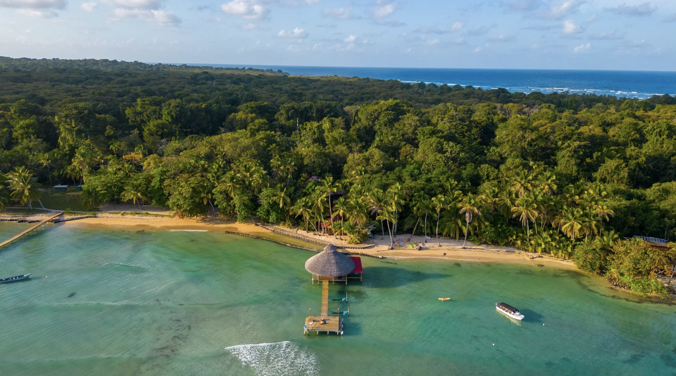 Screenshot 2026-01-25 at 10.11.43 AM.png