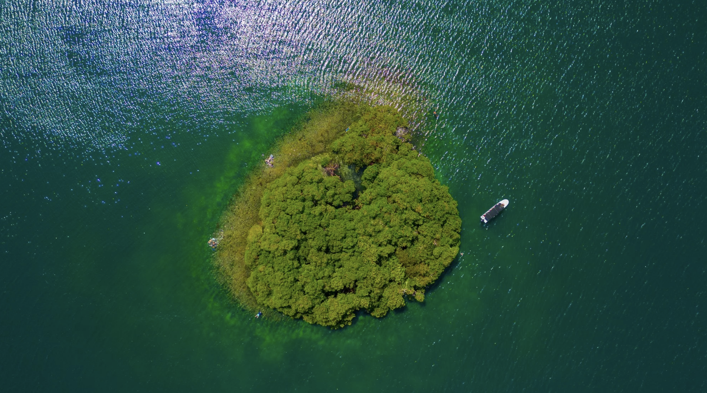 Screenshot 2026-01-25 at 10.12.33 AM.png