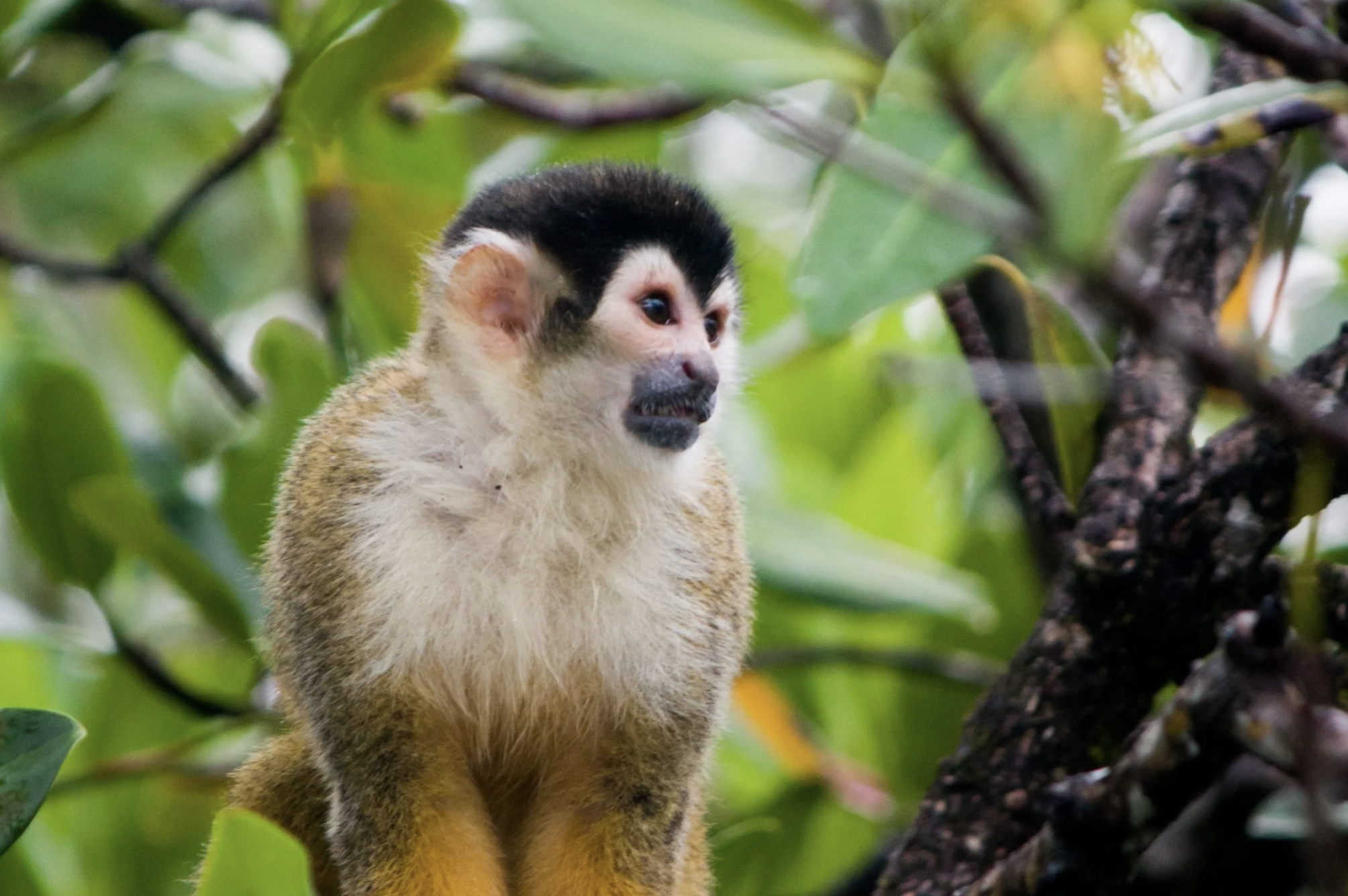 Screenshot 2026-01-25 at 10.14.13 AM.png