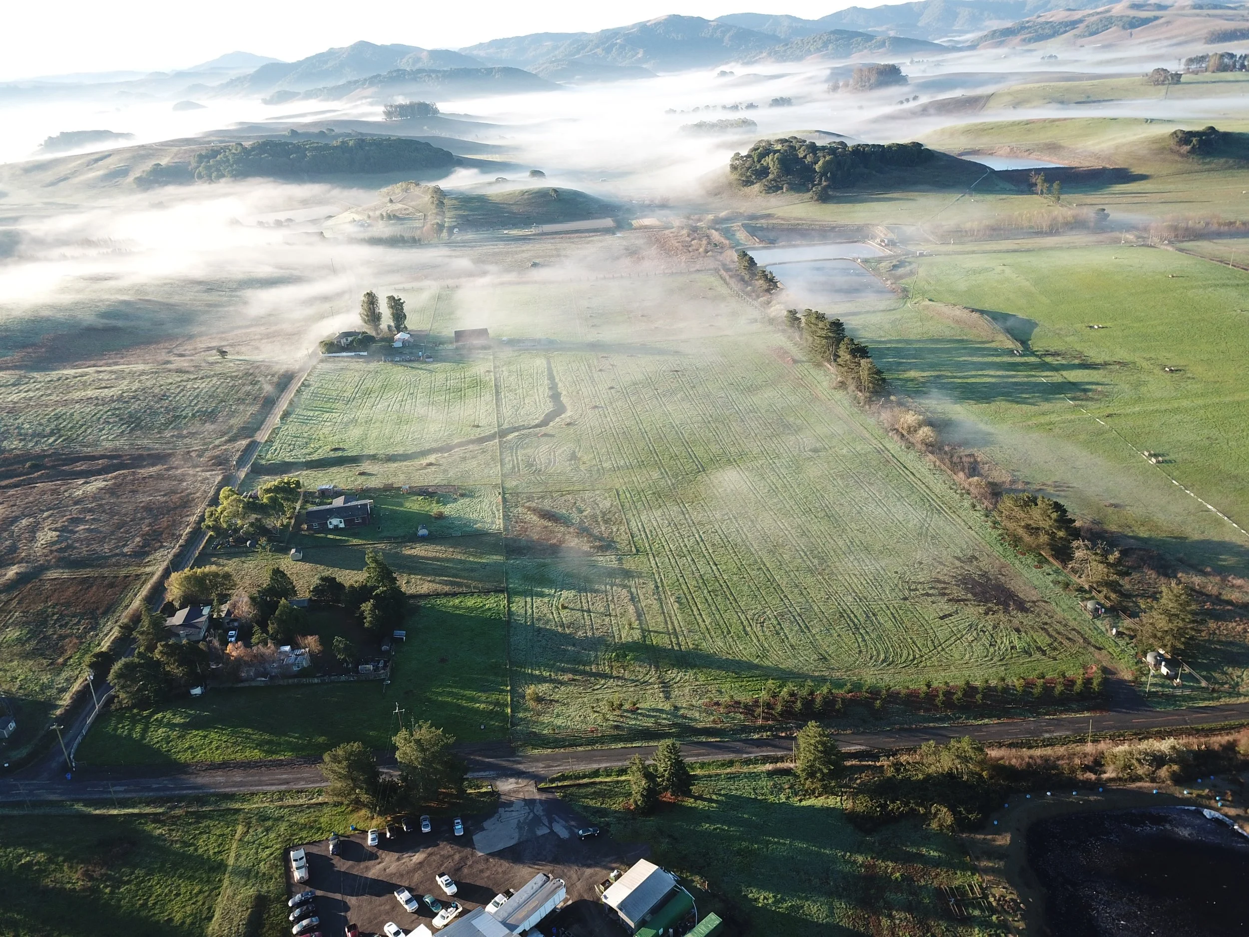 DJI_0019.JPG