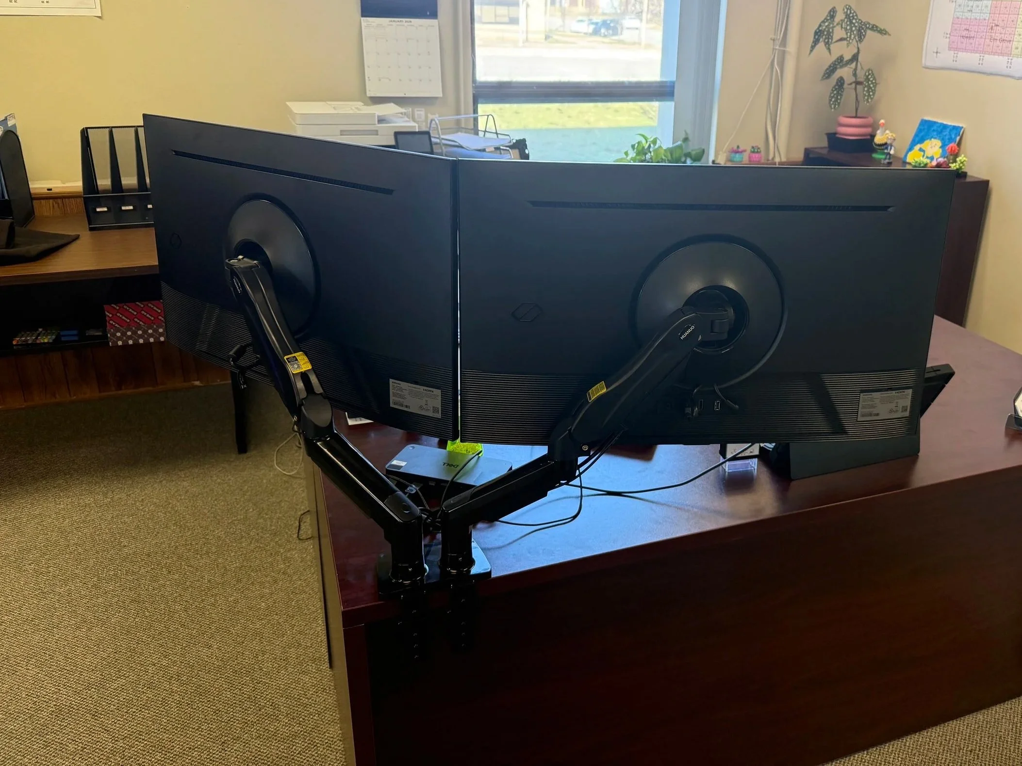 Back of a dual-monitor desk setup with two mounted monitors on an adjustable arm on a wooden desk in an office, multiple small decorative plants and items in the background.