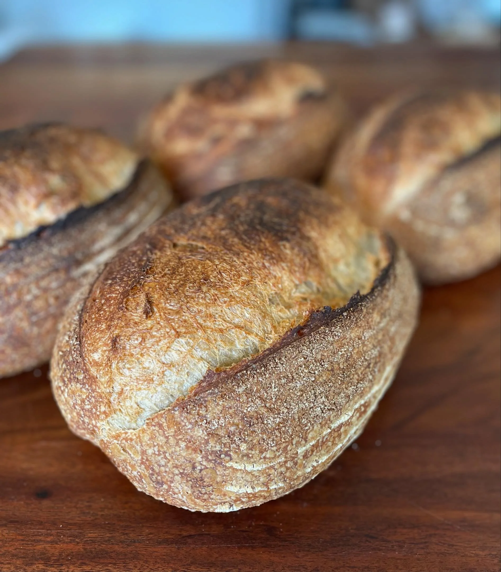 This week I changed things up in the bakehouse and introduced @chimacumgrain  flours into the mix. The dough felt incredible and the results were all that I hoped for. A sweet note from a customer left a smile on my face. This is why I go the extra m