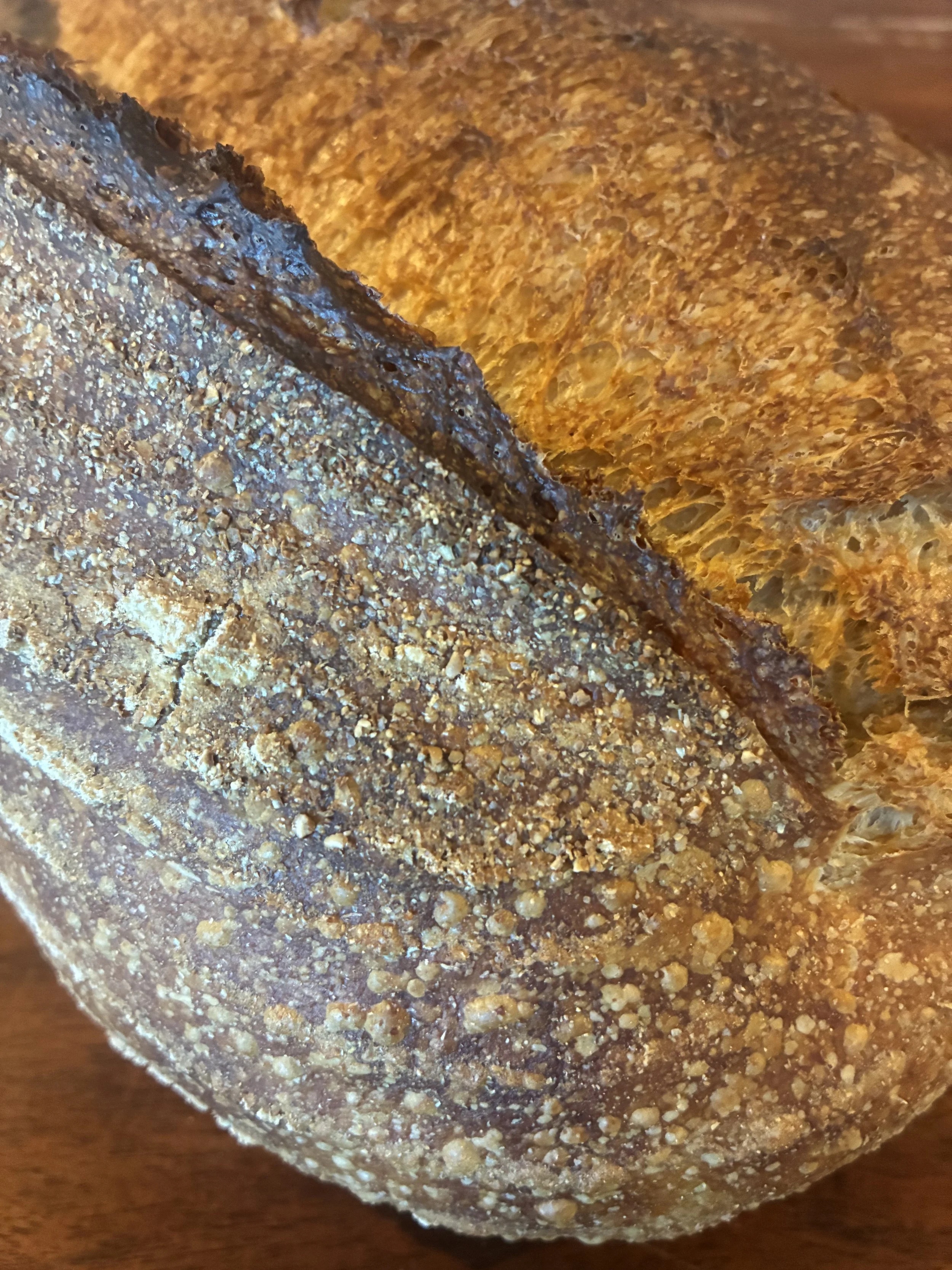 IMG_1455.jpg