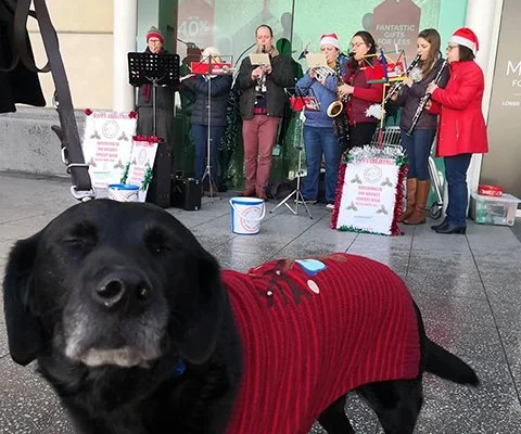 £1,245.11 raised for Parkinson's UK over Christmas