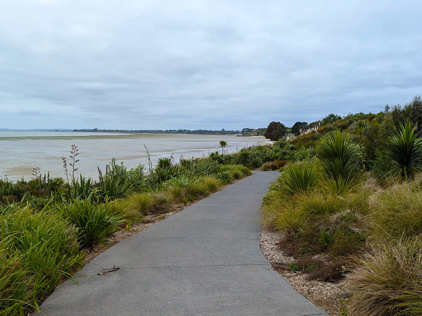 Eplanade and Beach Access