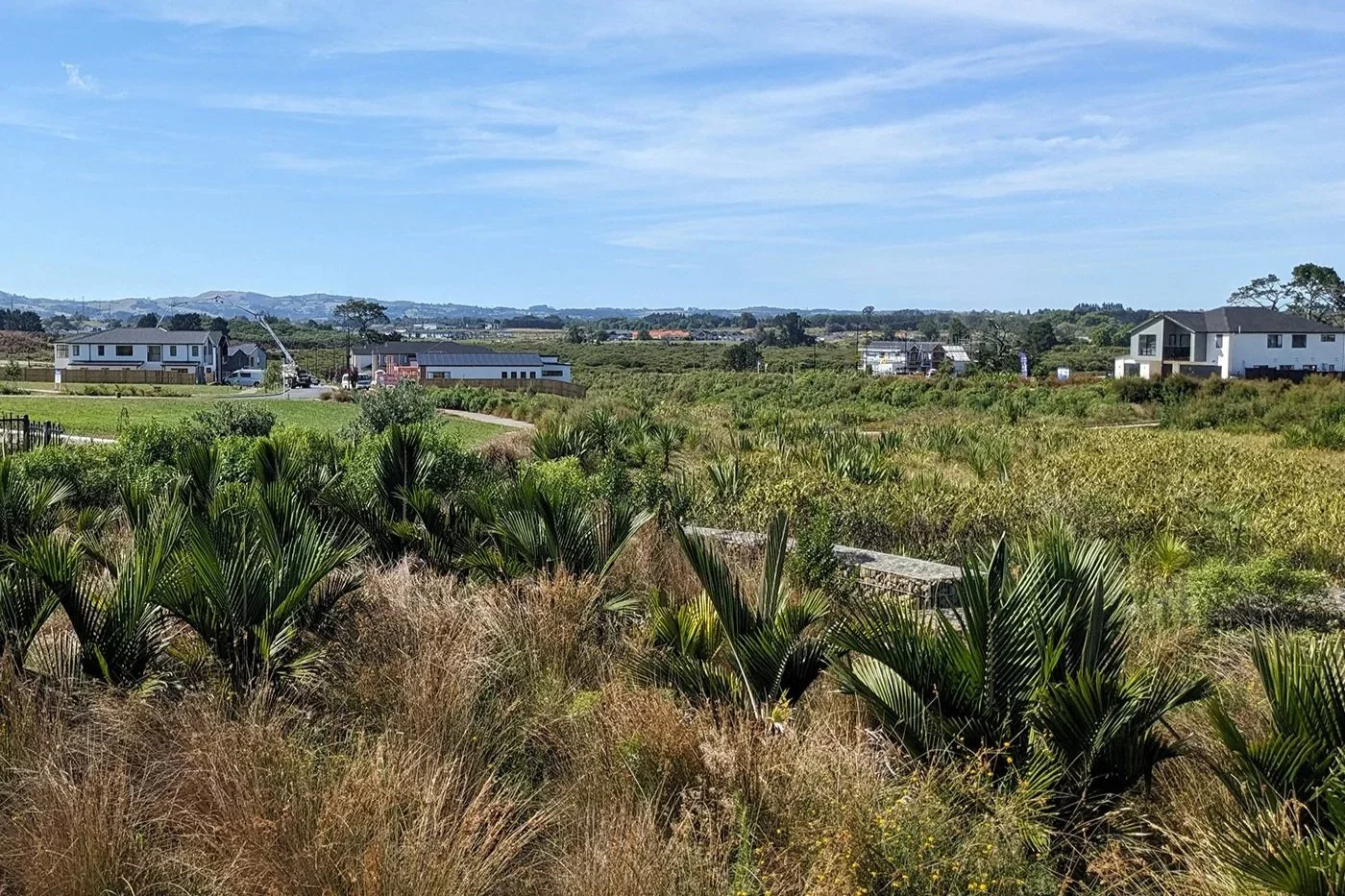 Park Green - Open Space Strategy