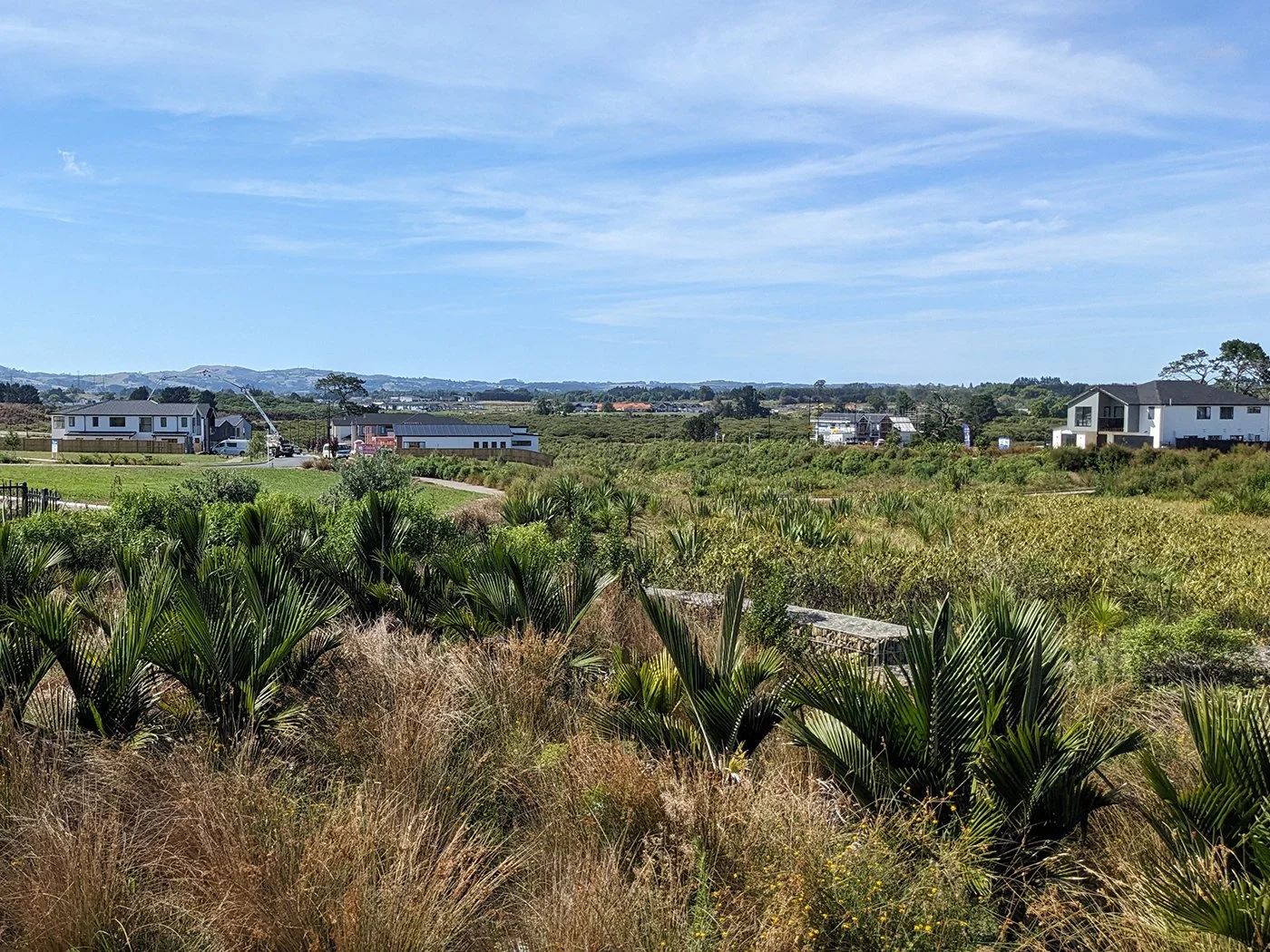 Park Green - Open Space Strategy