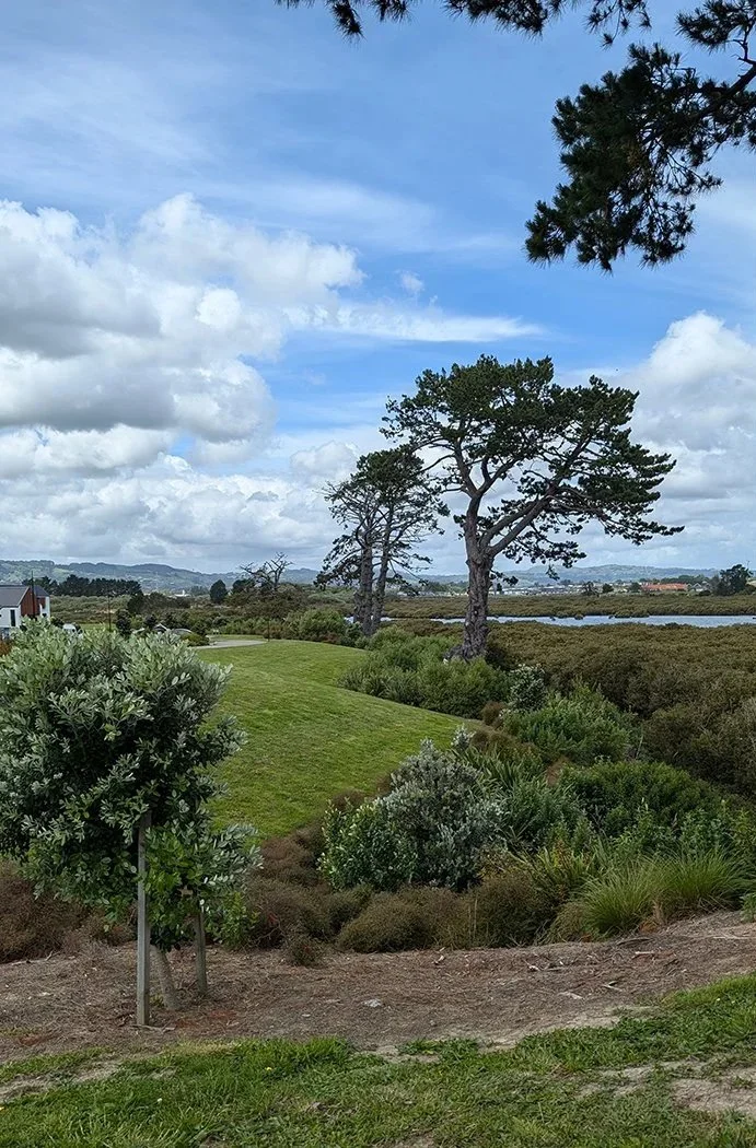 Esplanade & Revegetation