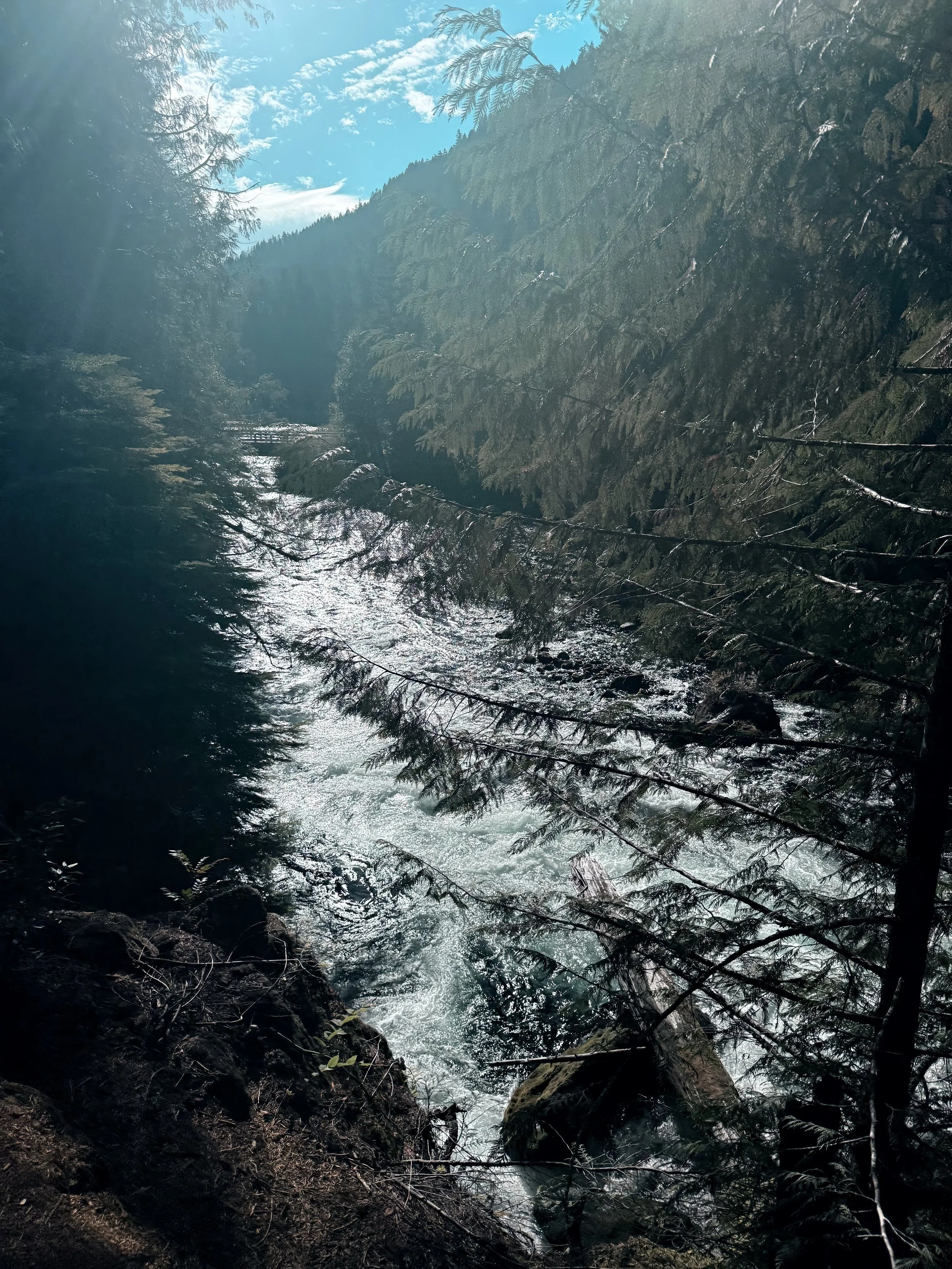 A river flowing through a dense forest on a mountain, with tall evergreen trees on both sides and a blue sky with scattered clouds overhead.