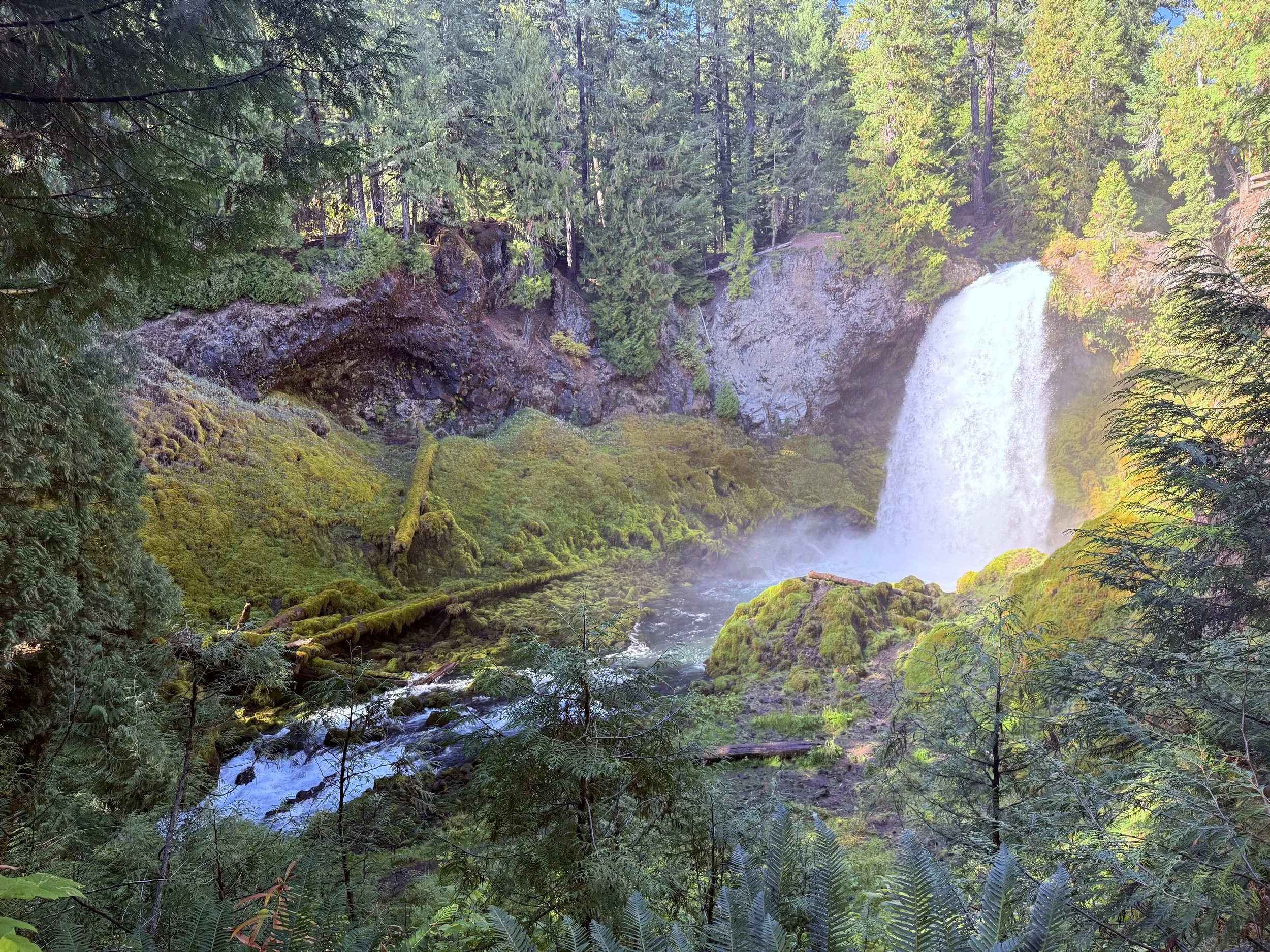 A lush forest scene with a waterfall cascading over moss-covered rocks surrounded by green trees and ferns.