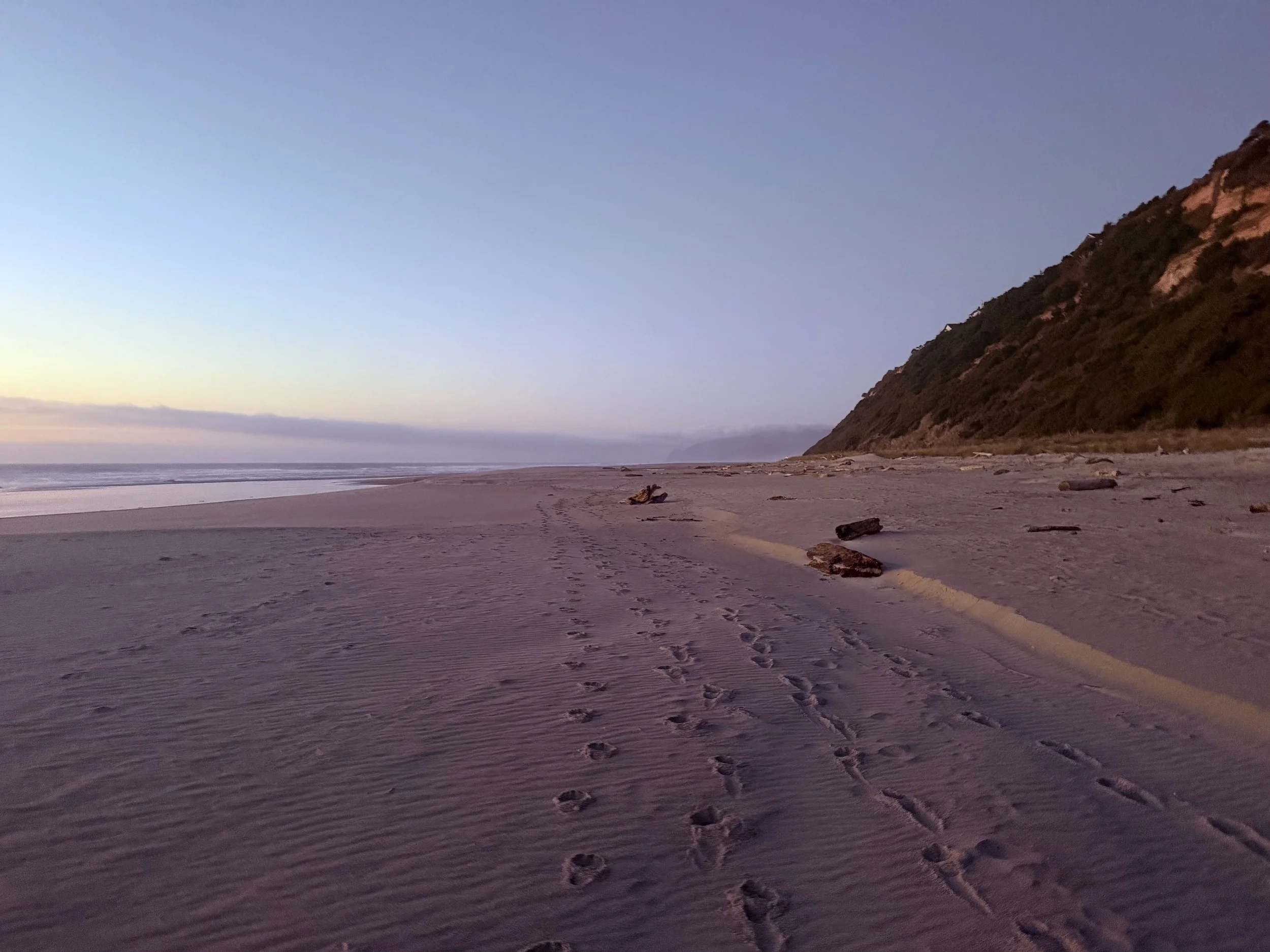 Empty sandy beach at sunset with footprints and scattered driftwood, hillside covered in vegetation on the right, calm ocean on the left, and a clear sky.