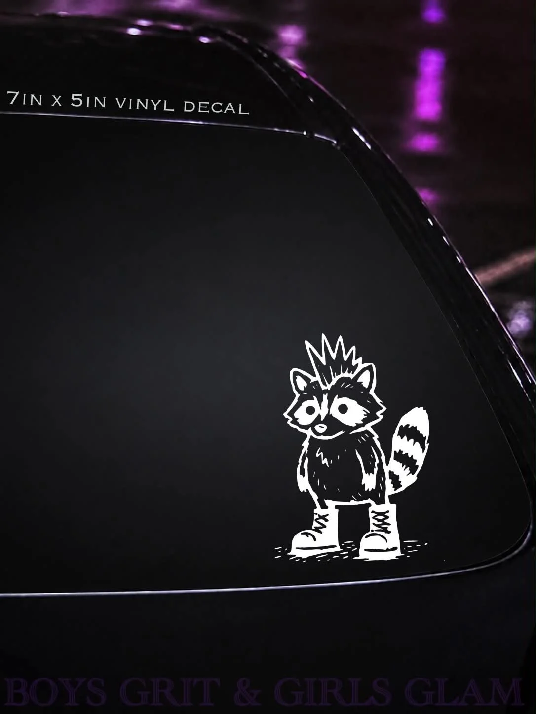 Punk Raccoon