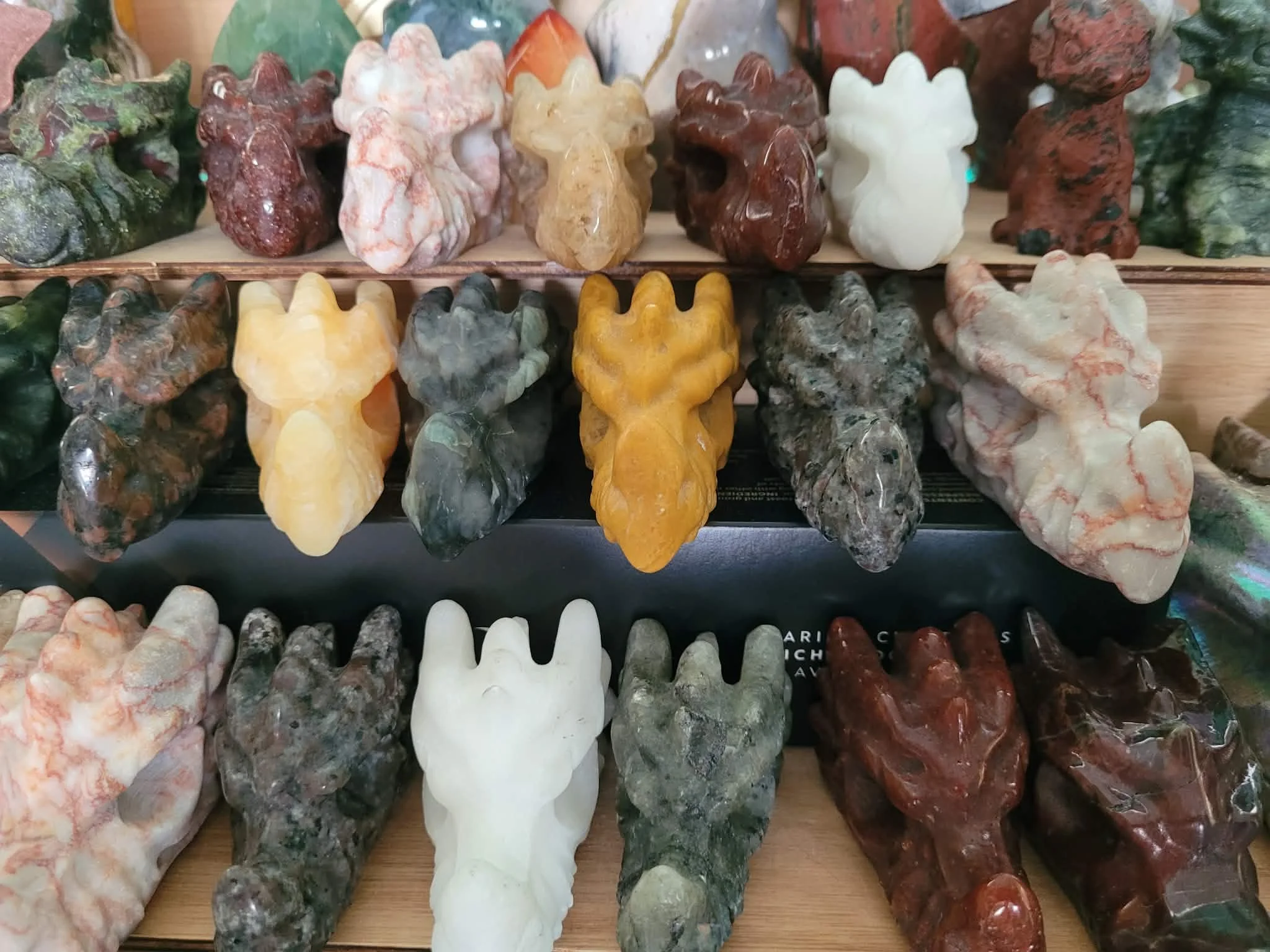 Dragon heads medium