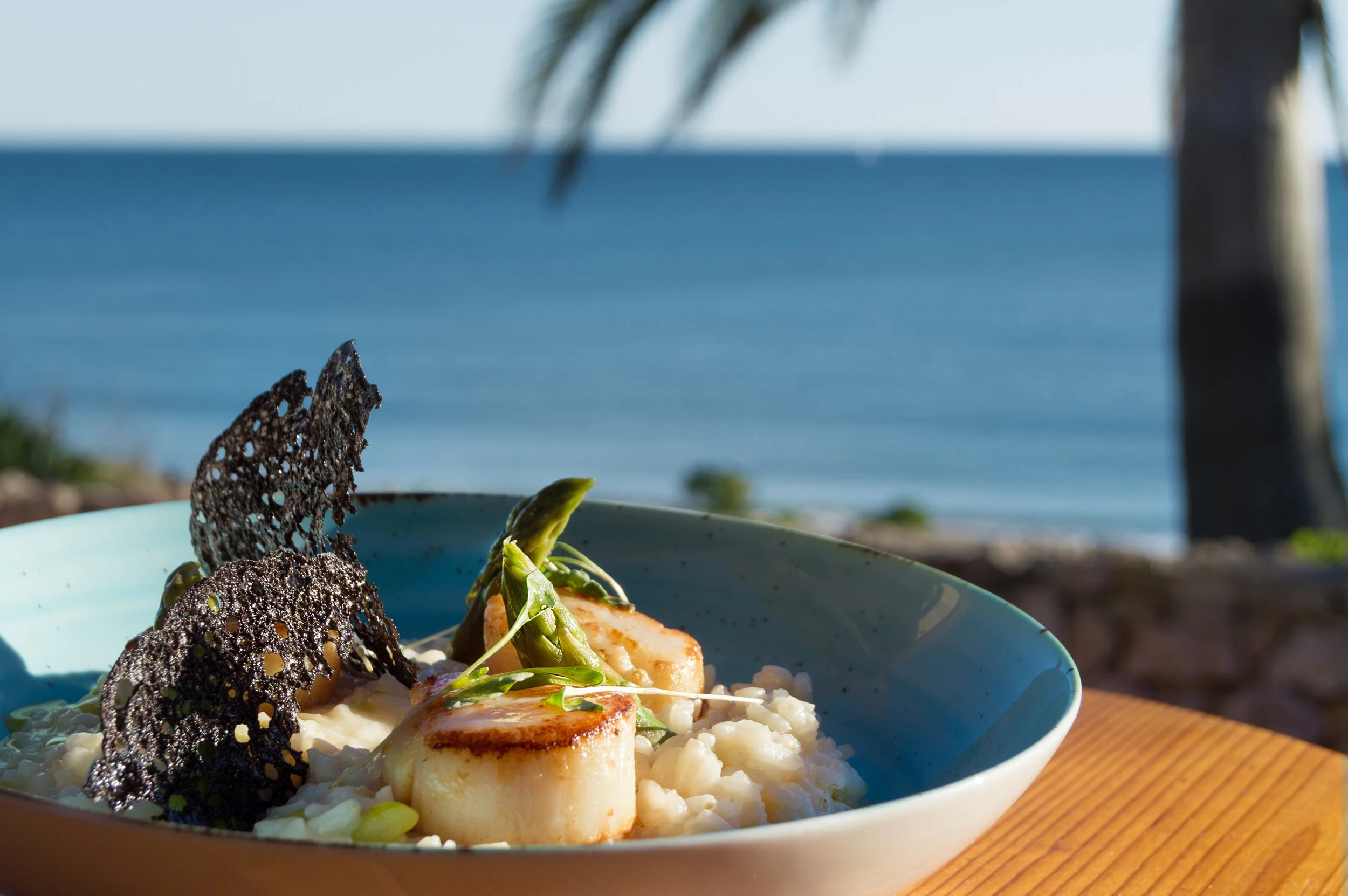 A seafood dish with scallops, green garnishes, and black lace-like chips in a blue bowl on a wooden surface, with a blurred ocean and palm tree in the background.