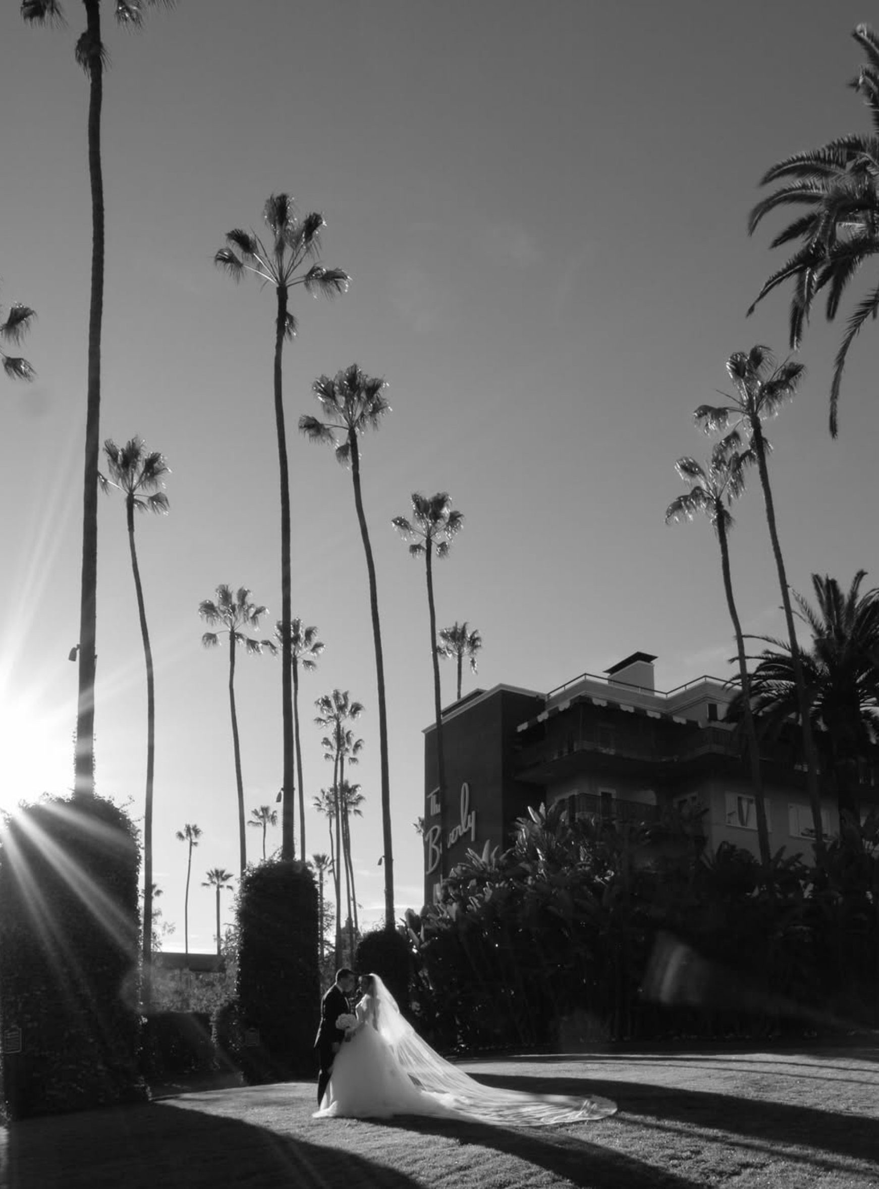 Joe Silva Photography 