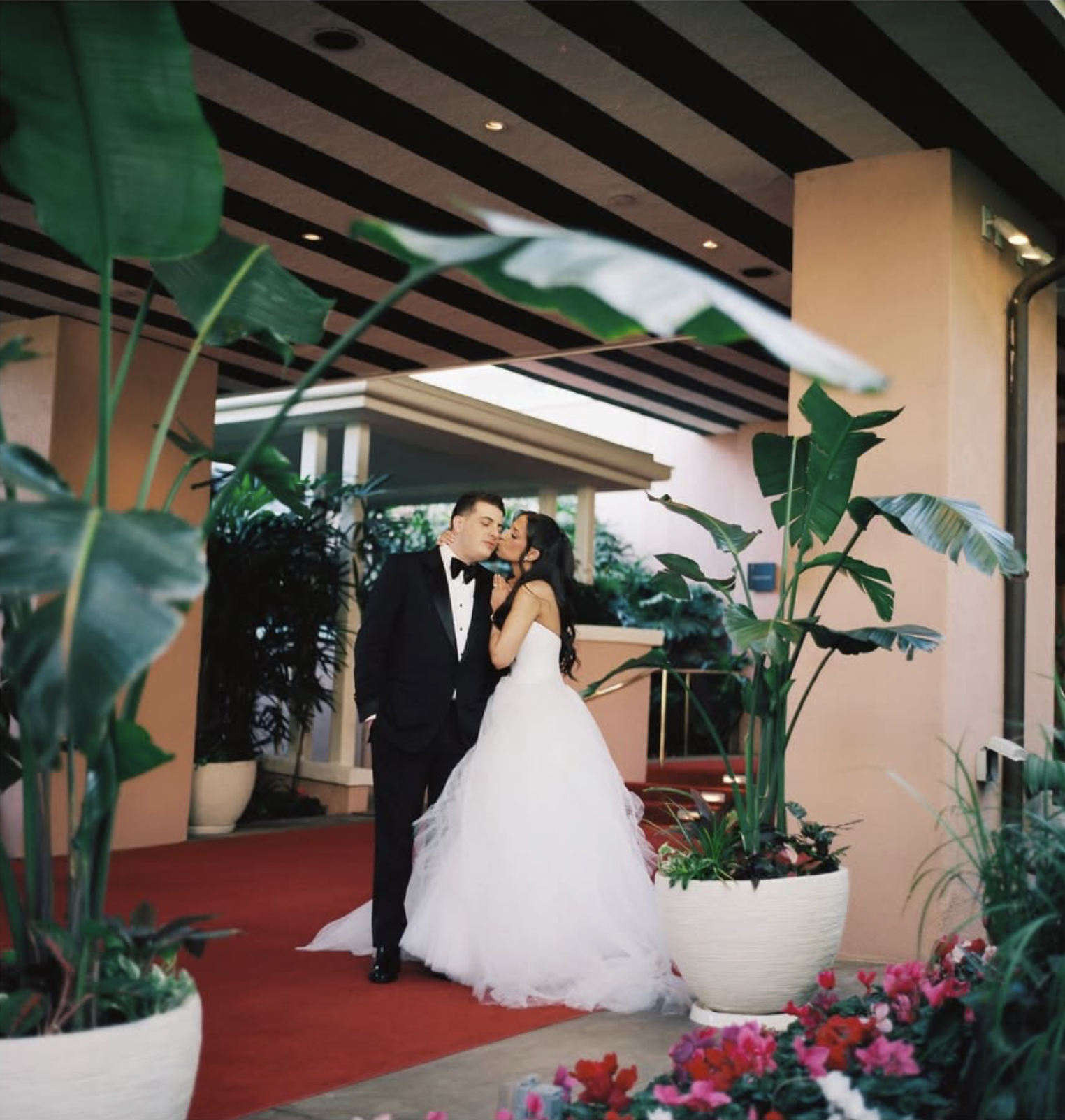 Joe Silva Photography 