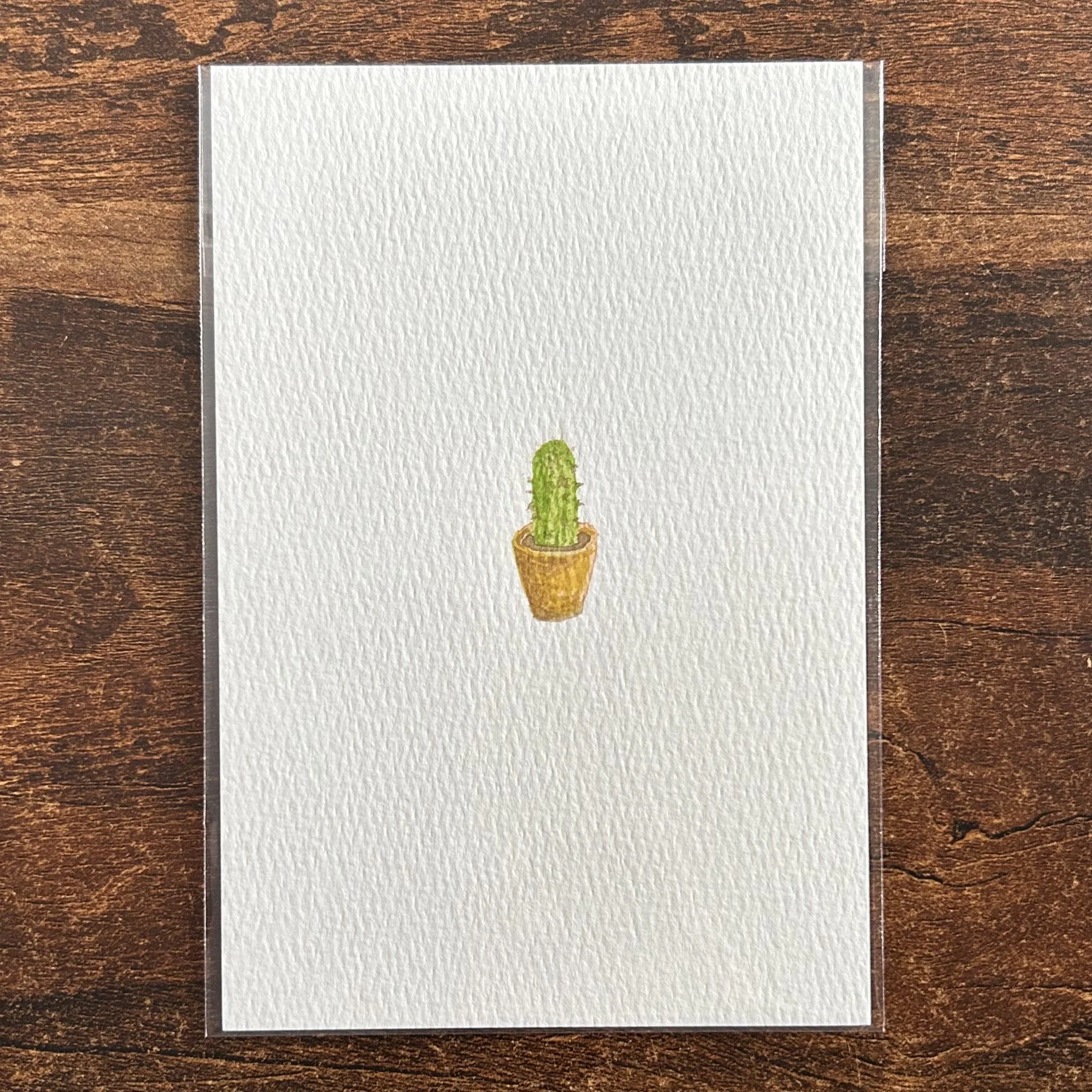 BARREL CACTUS - Watercolor Original (4x6)