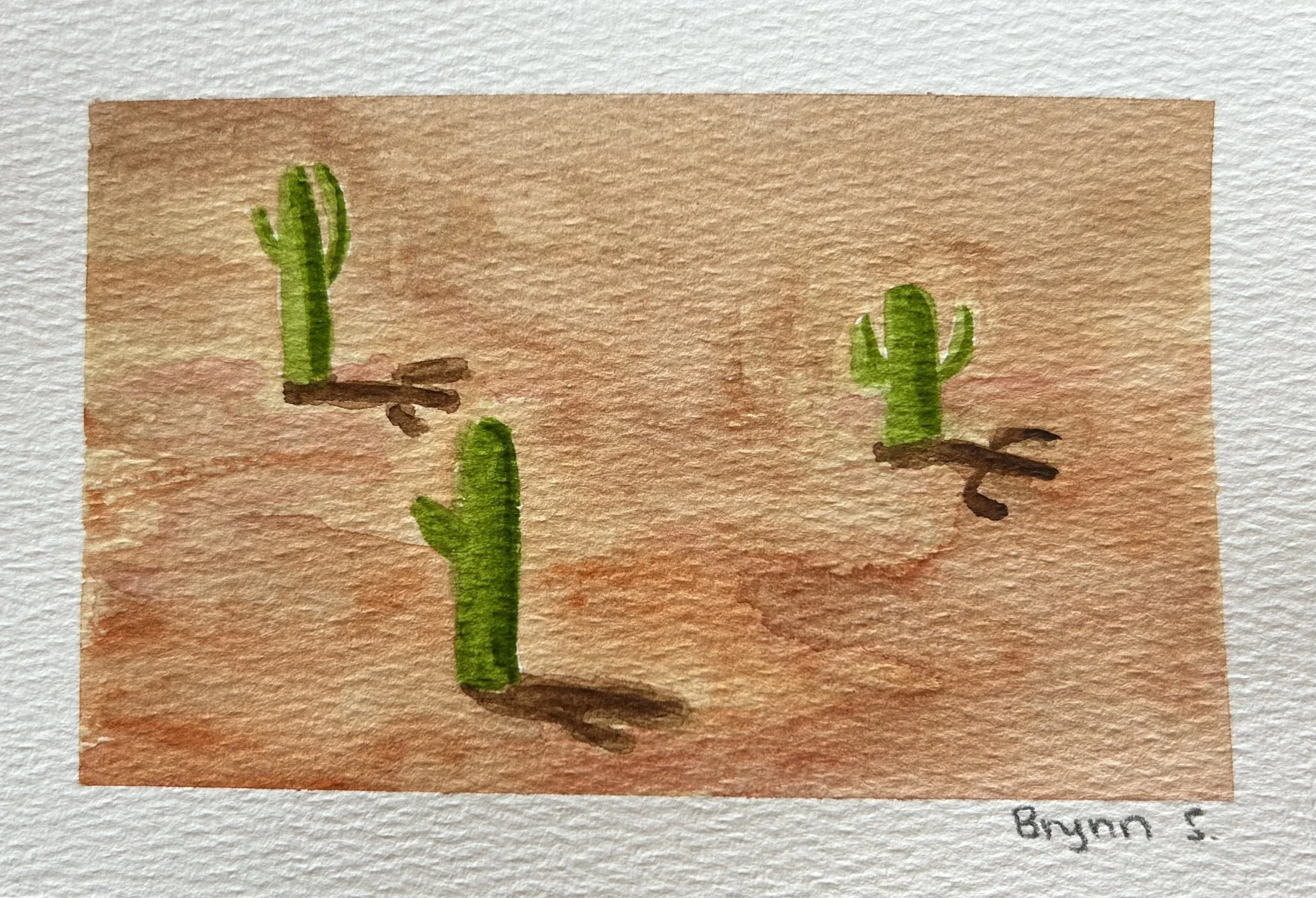 ARIZONA CACTUS